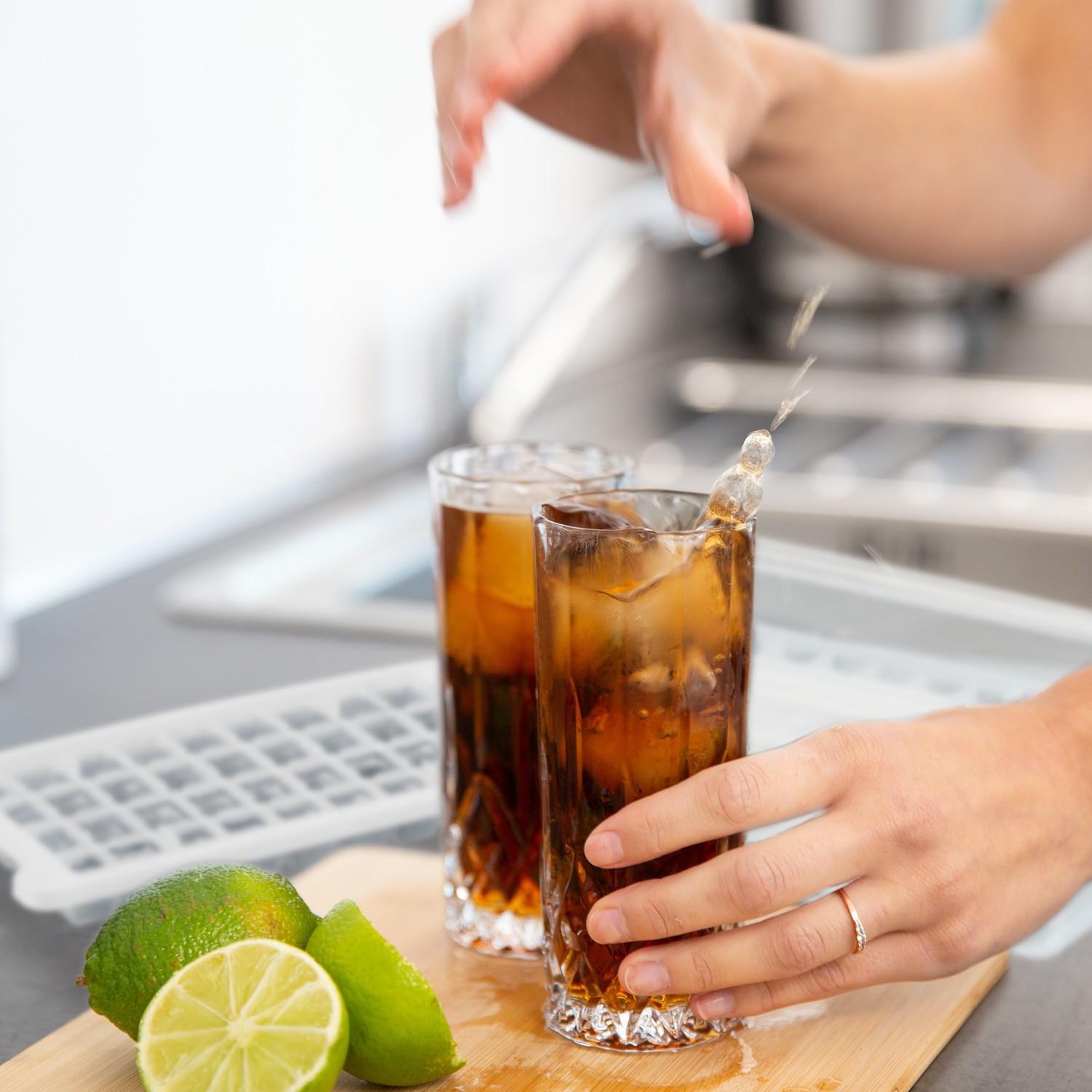 Northio Set Eiswürfelformen mit Box und Deckel