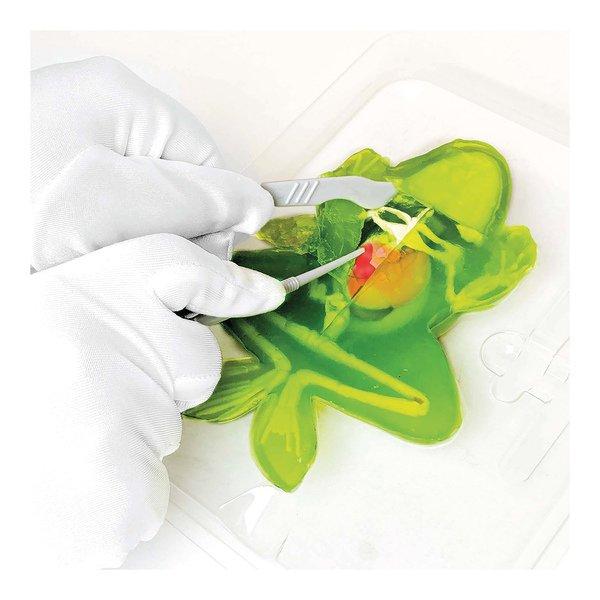 JOKER Dissect-it Frosch