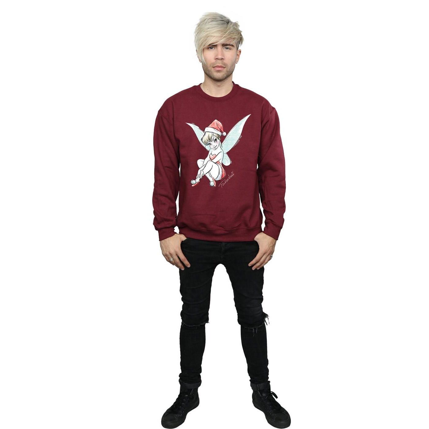 Disney Fairy Sweatshirt