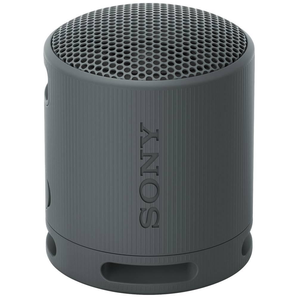 SONY XB100 Tragbarer kabelloser Lautsprecher