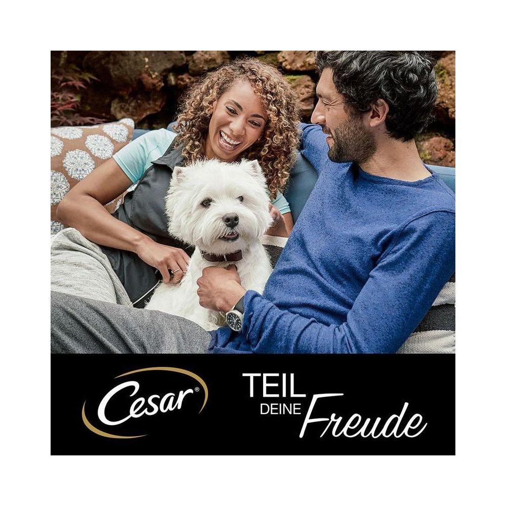 Cesar Senior Multipack