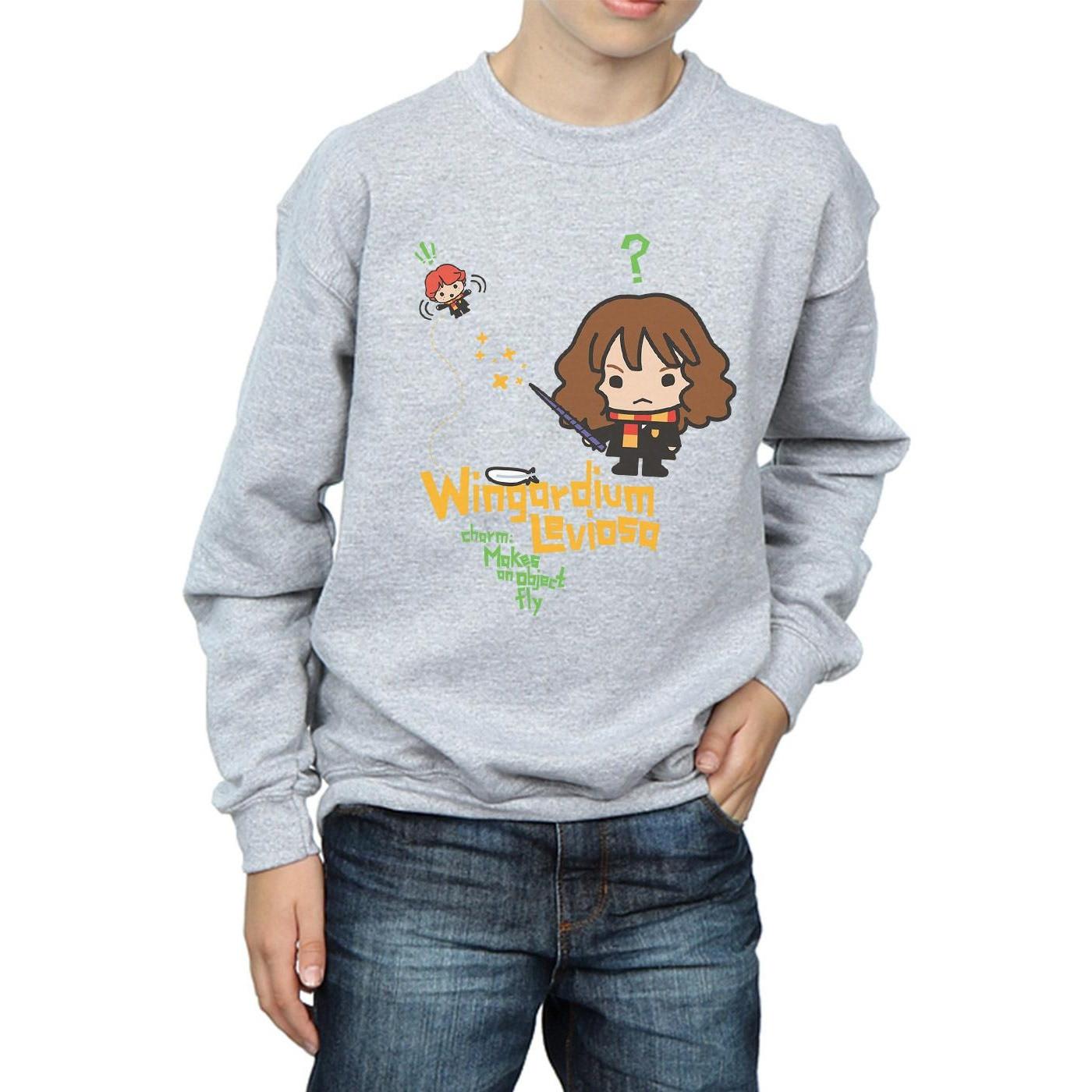 Harry Potter Wingardium Leviosa Sweatshirt