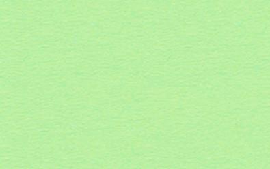 Ursus URSUS Tonzeichenpapier 50x70cm 2232230 130g, mint