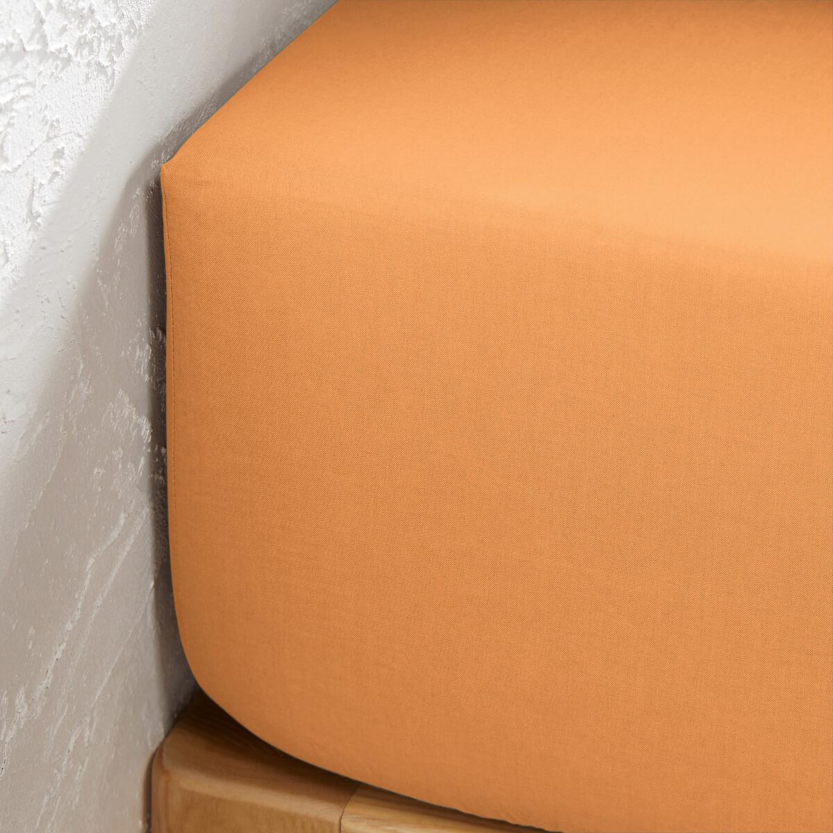 La Redoute Intérieurs Fixleintuch Scenario aus Baumwolle