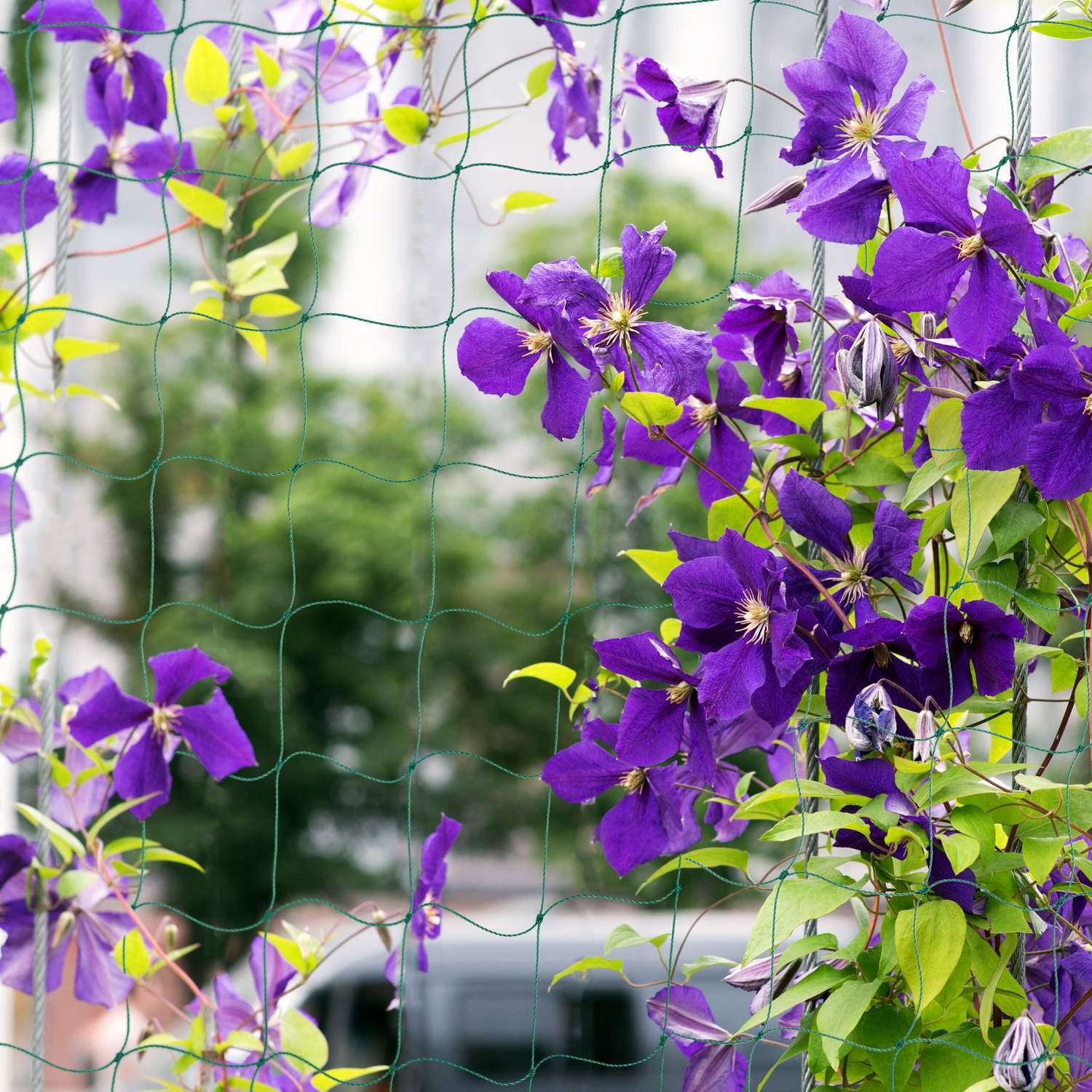 B2X Spaliernetz 180 x 500 cm 3er-Set