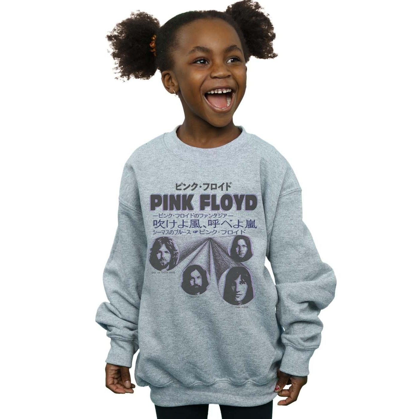 Pink Floyd Sweatshirt