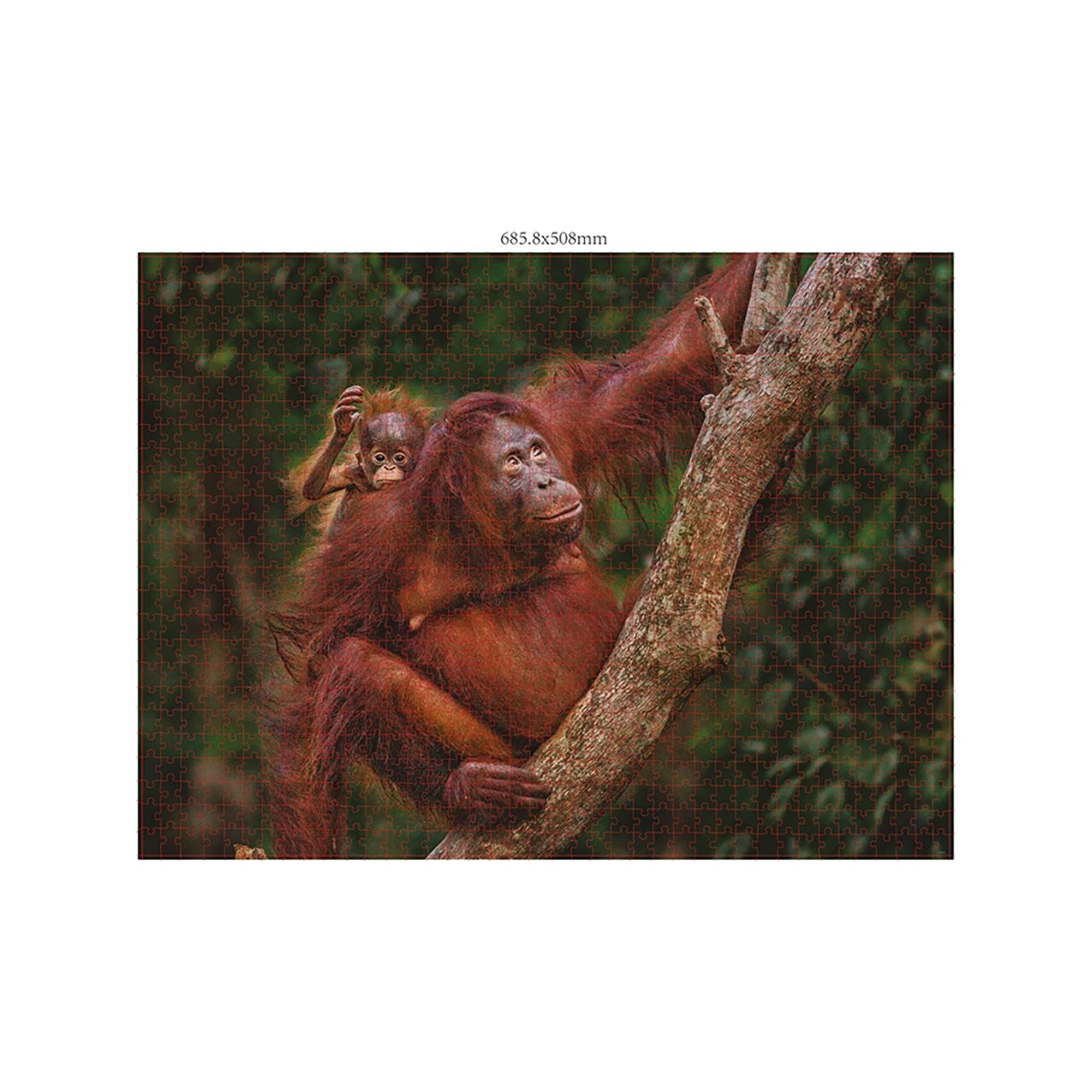 Merchant Ambassador Puzzle Wildtier Familien, 3 x 1000 Teile