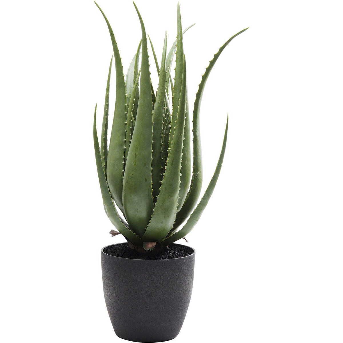 KARE Design Deko Pflanze Aloe 69cm