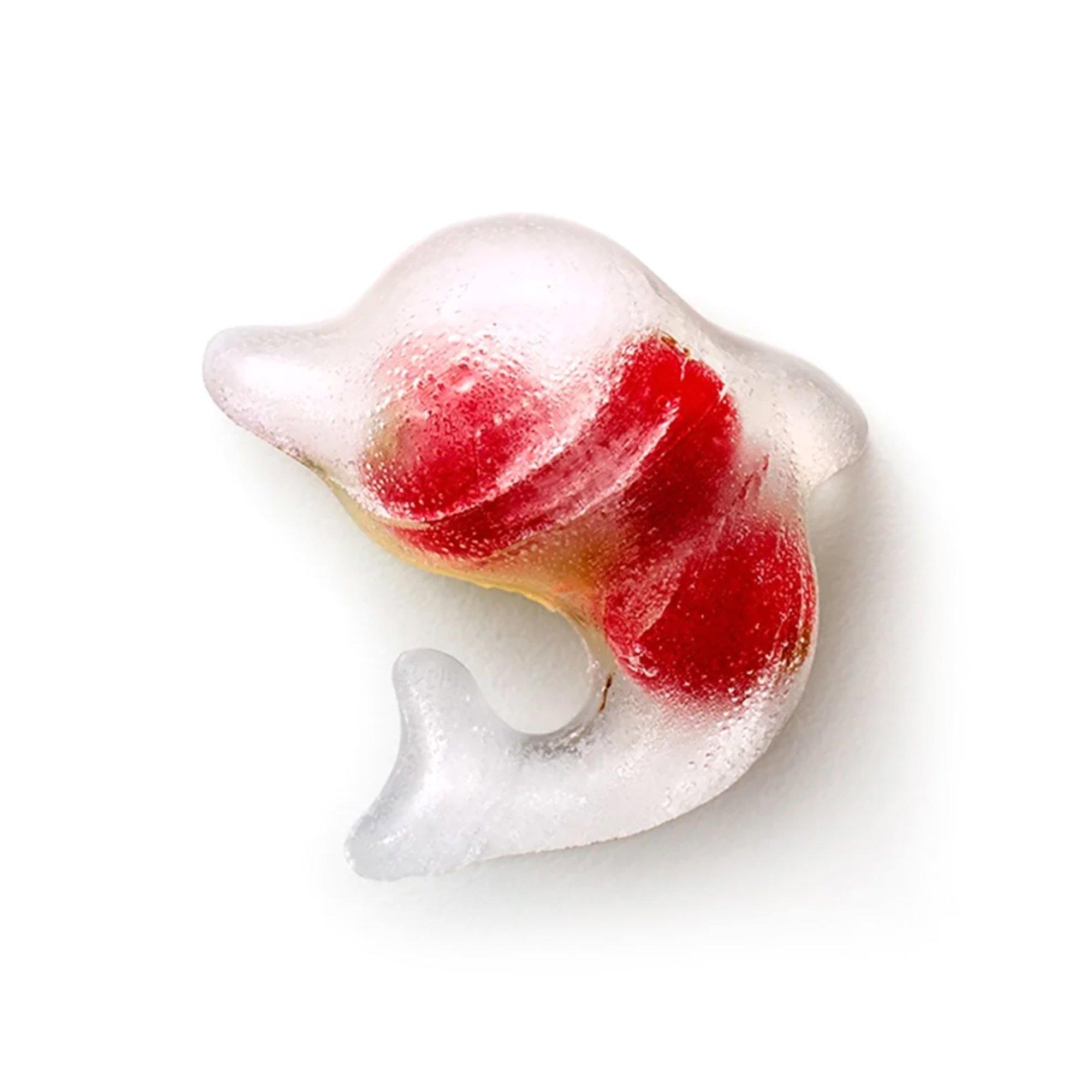 Lékué Eiswürfelbereiter Delfin