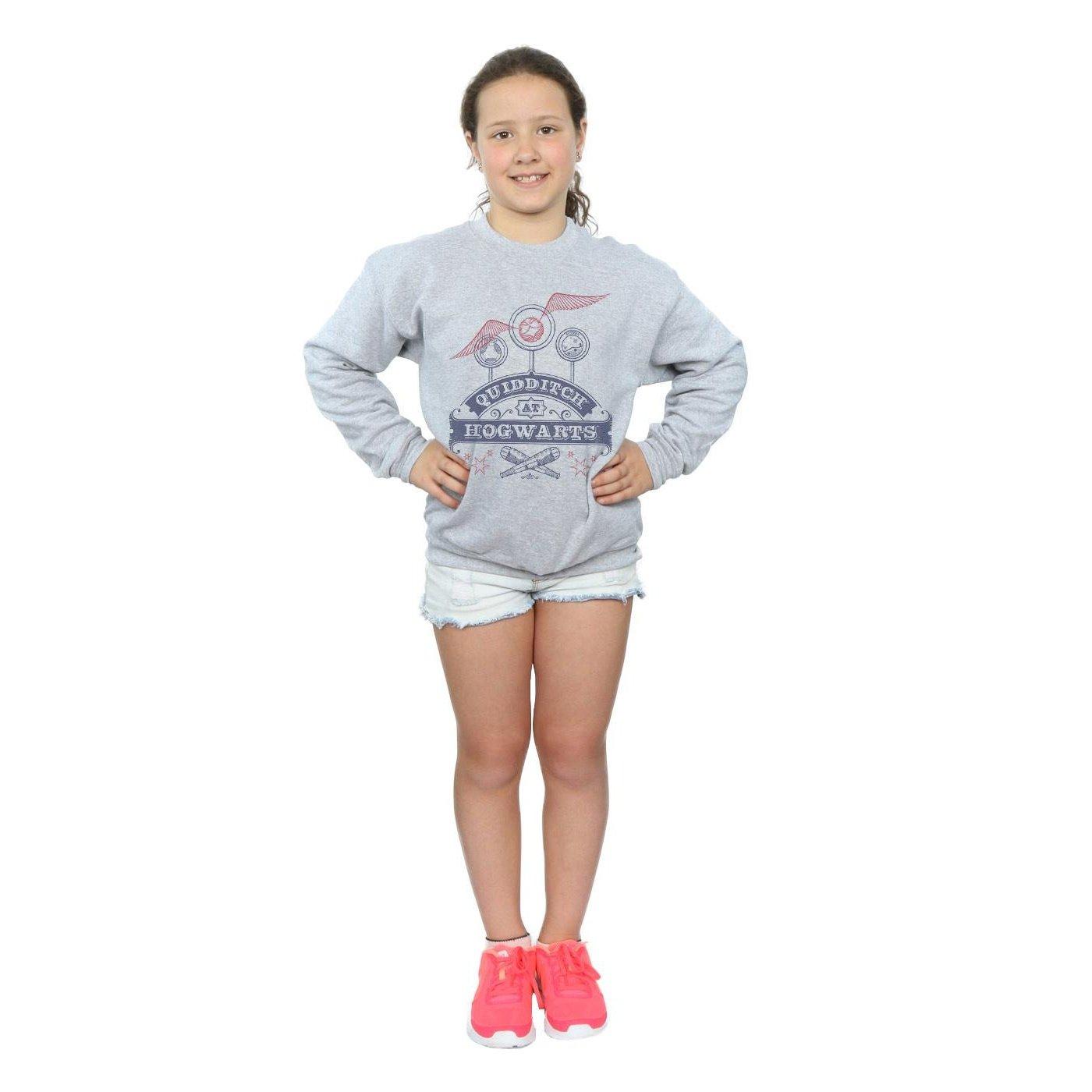 Harry Potter Quidditch At Hogwarts Sweatshirt
