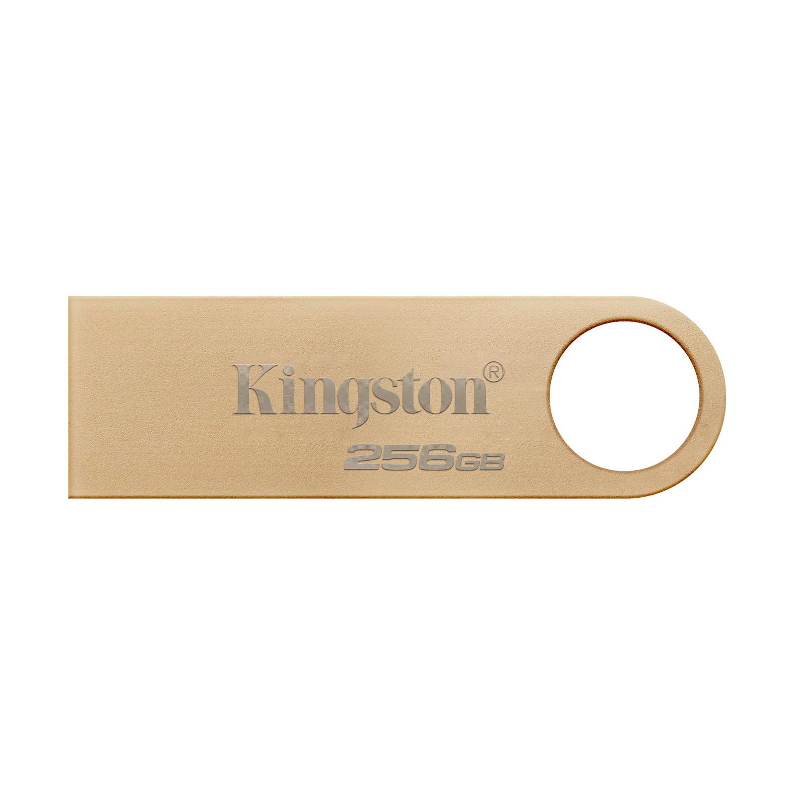 Kingston Kingston DataTraveler 256GB USB-Stick