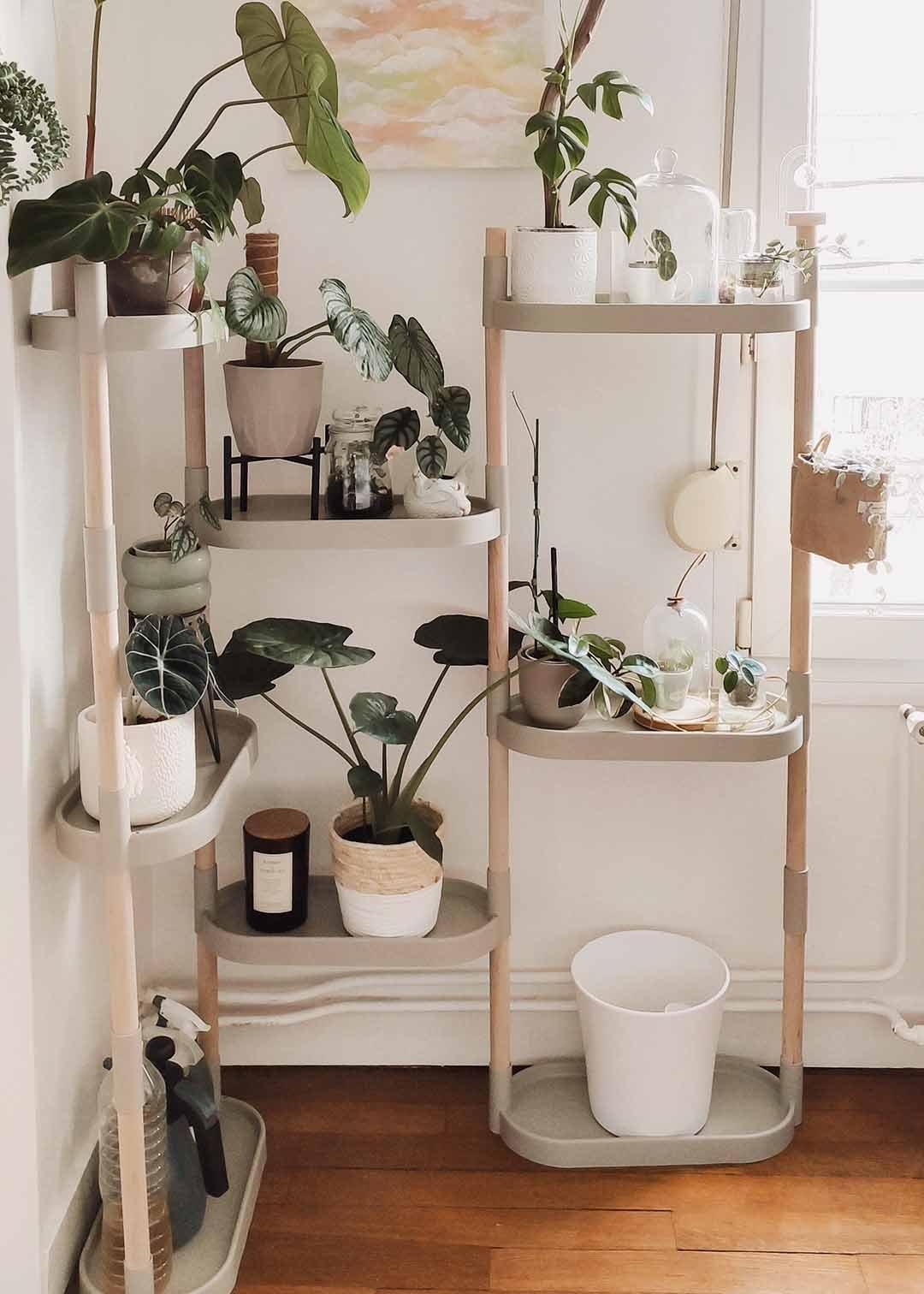 CitySens Pflanzenregal