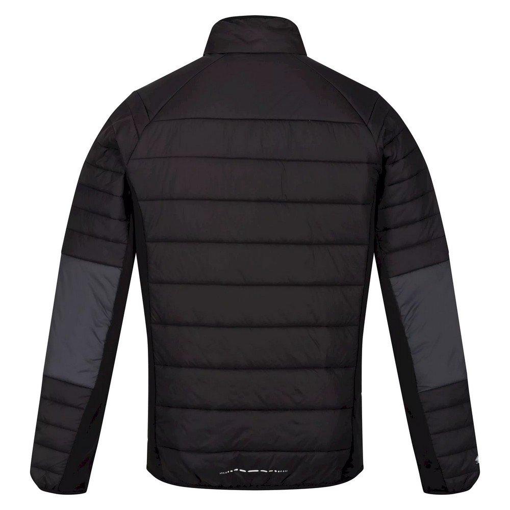 Regatta Halton VI Softshelljacke