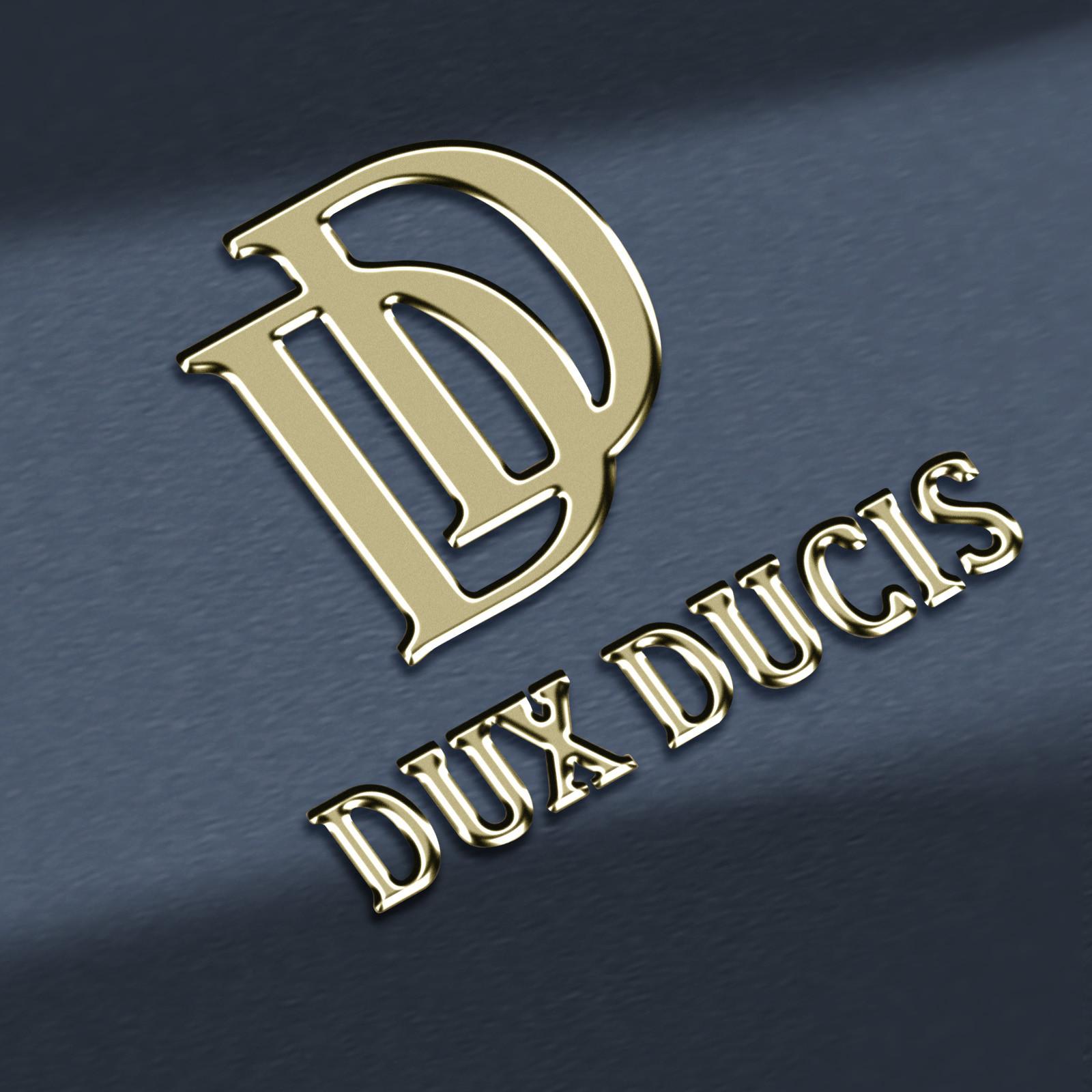 DuxDucis Dux Ducis Hülle Samsung S24 Blau