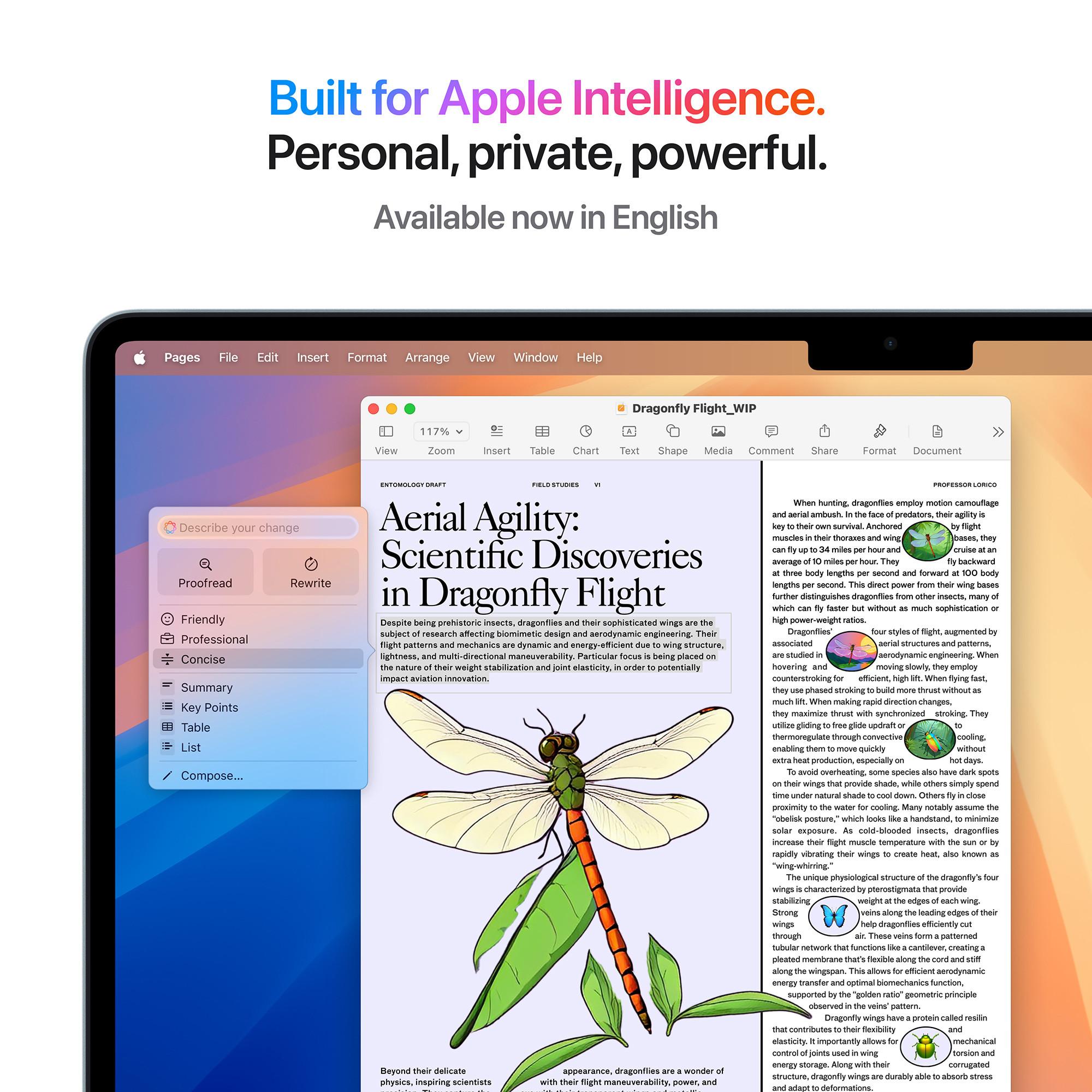 Apple MacBook AIR 15