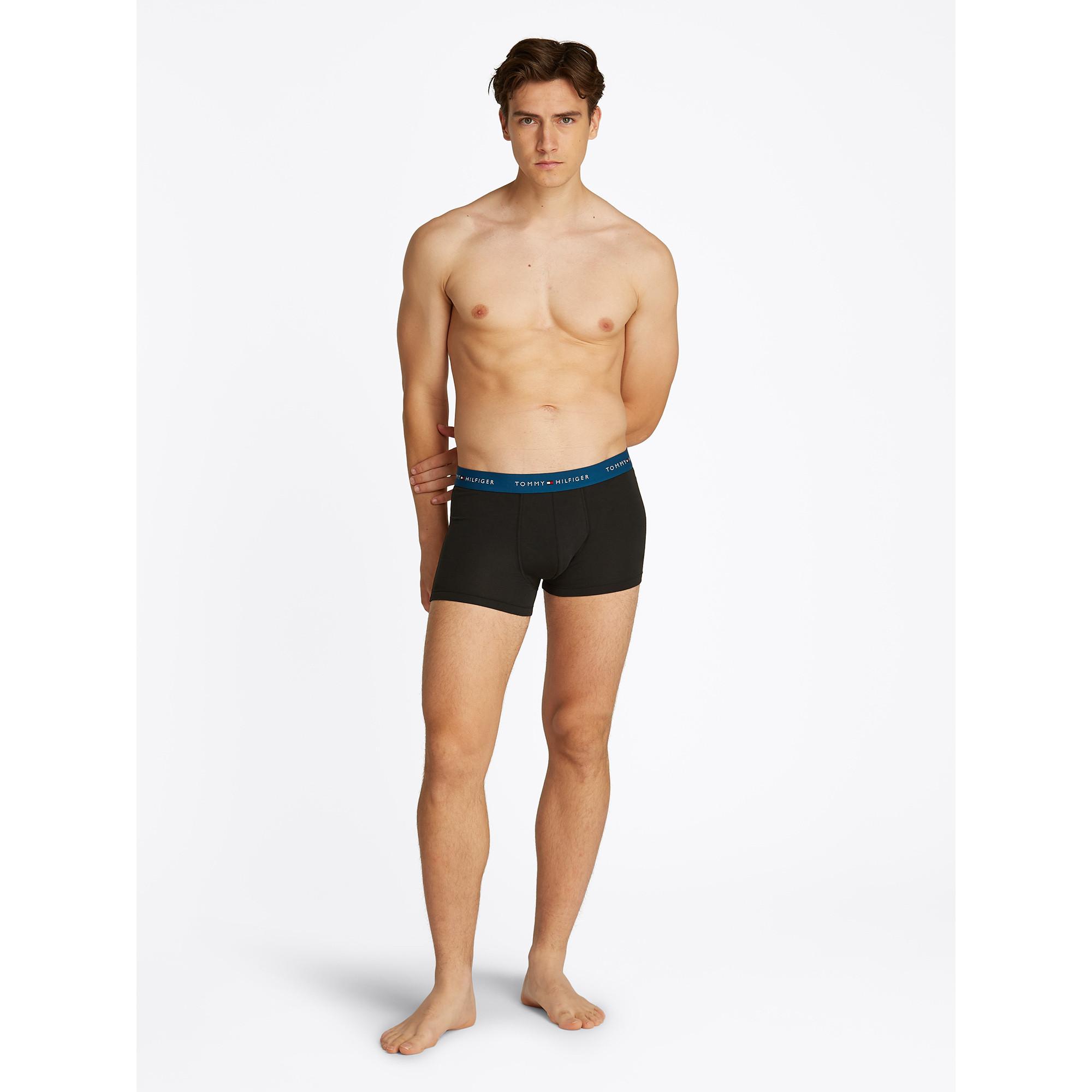 TOMMY HILFIGER 3P Trunk Triopack, Pantys