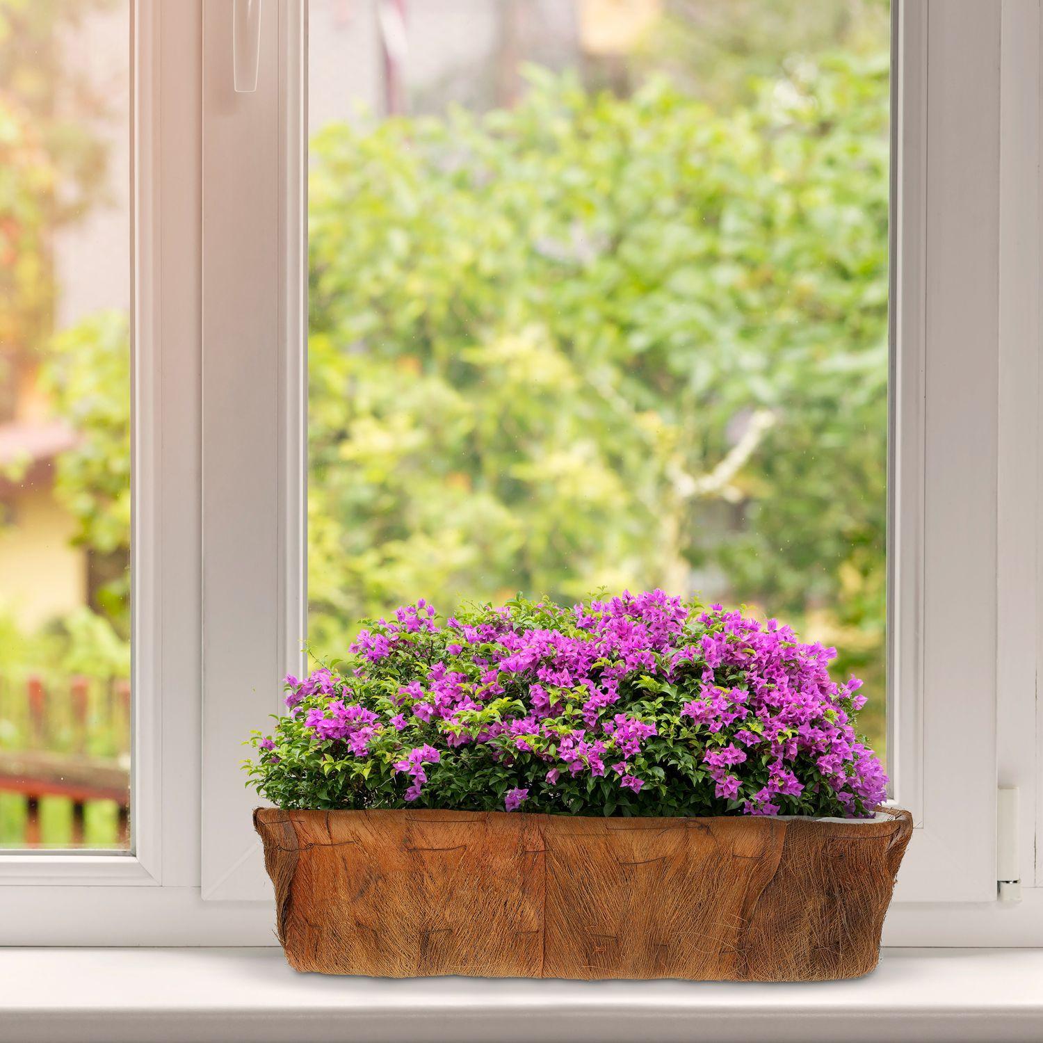 B2X Länglicher Blumenkasten 4er-Set