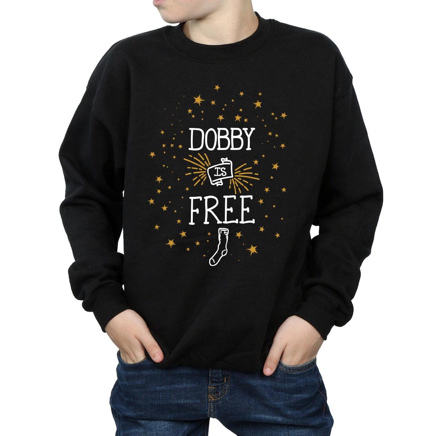 Harry Potter Dobby Is Free Sweatshirt