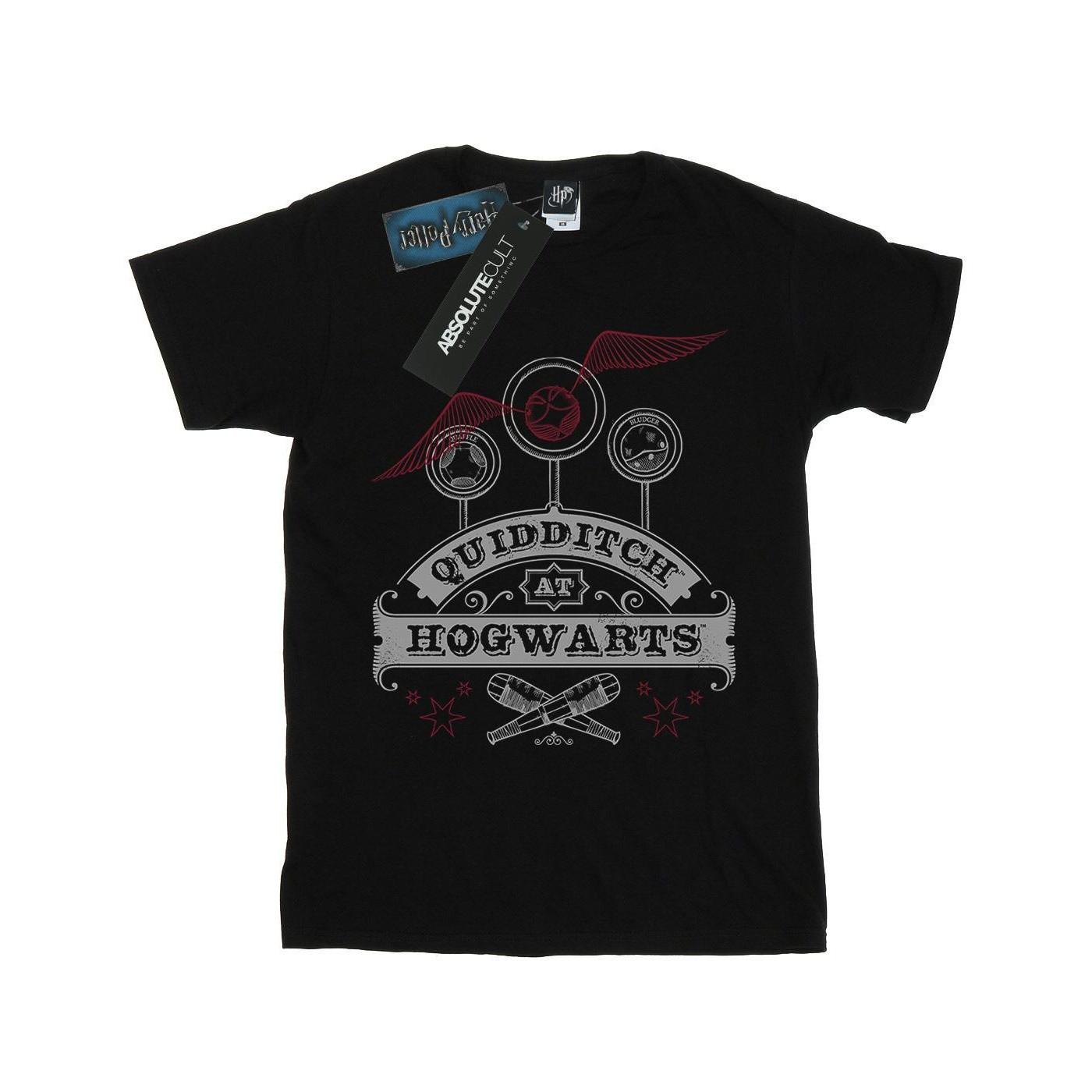 Harry Potter Quidditch At Hogwarts T-Shirt