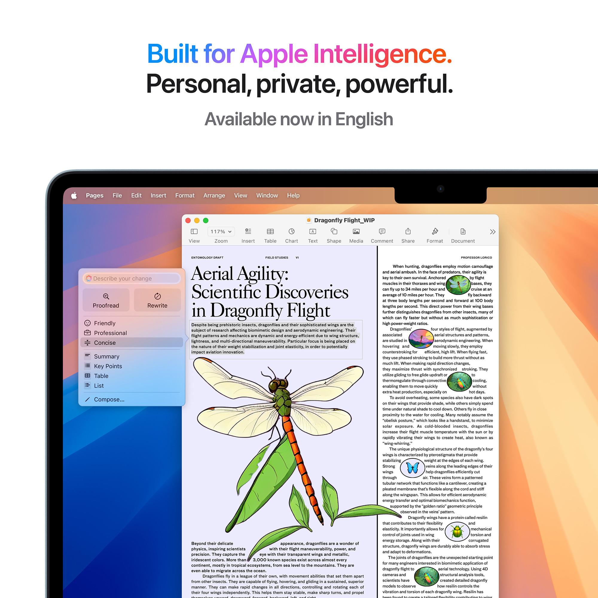 Apple MacBook AIR 13