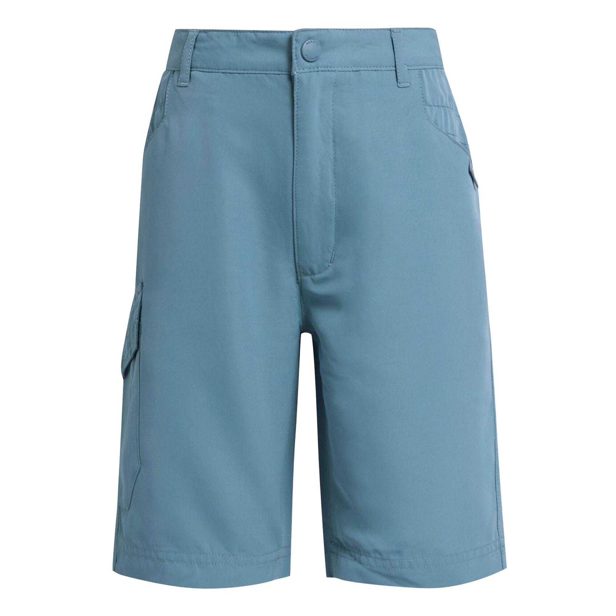 Regatta Sorcer II Shorts