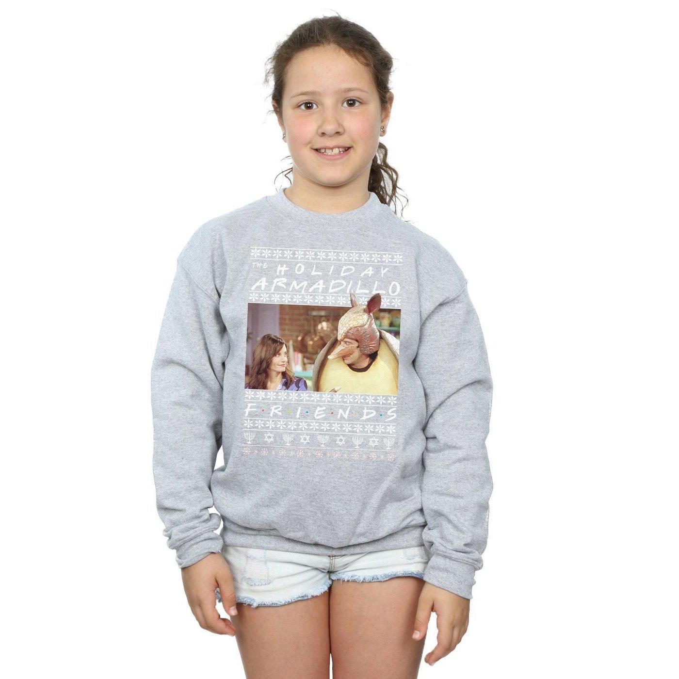 Friends Holiday Armadillo Sweatshirt