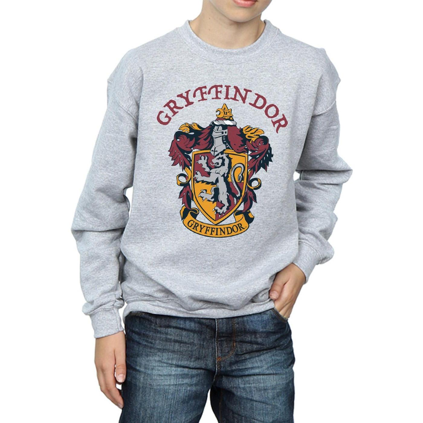 Harry Potter Sweatshirt