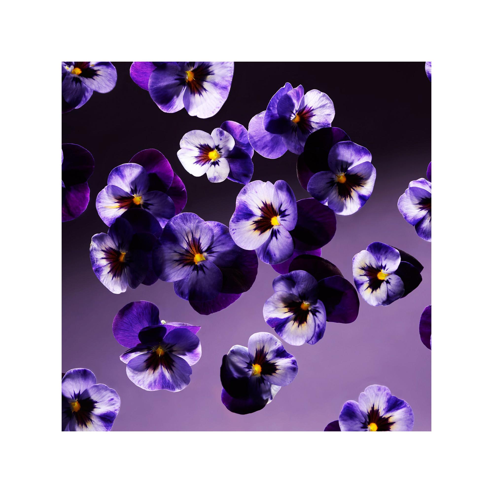 RITUALS Smooth Violet Concentrated Hand Wash Refill
