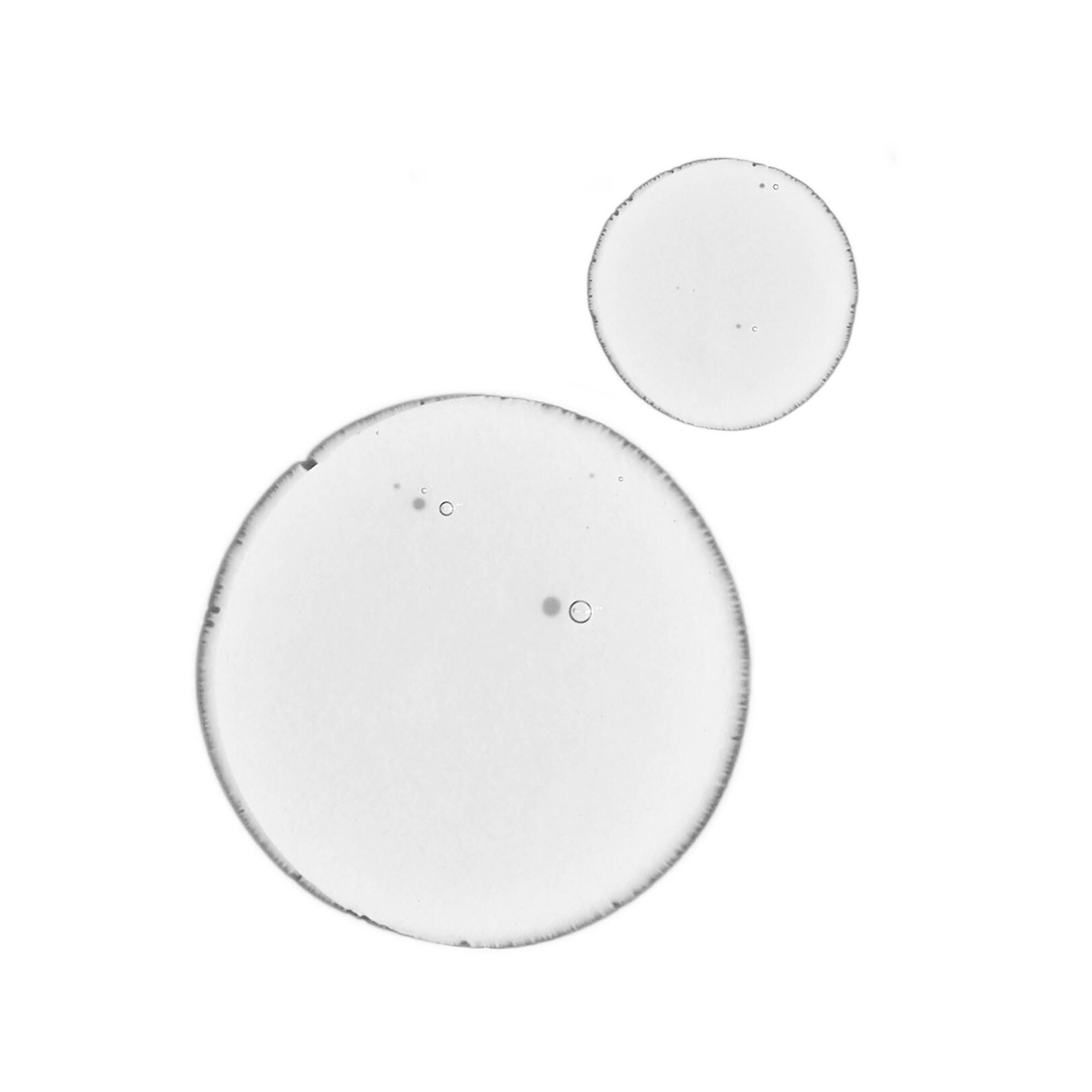 THE ORDINARY Balancing and Clarifying Serum - Ausgleichendes & Reinigendes Serum