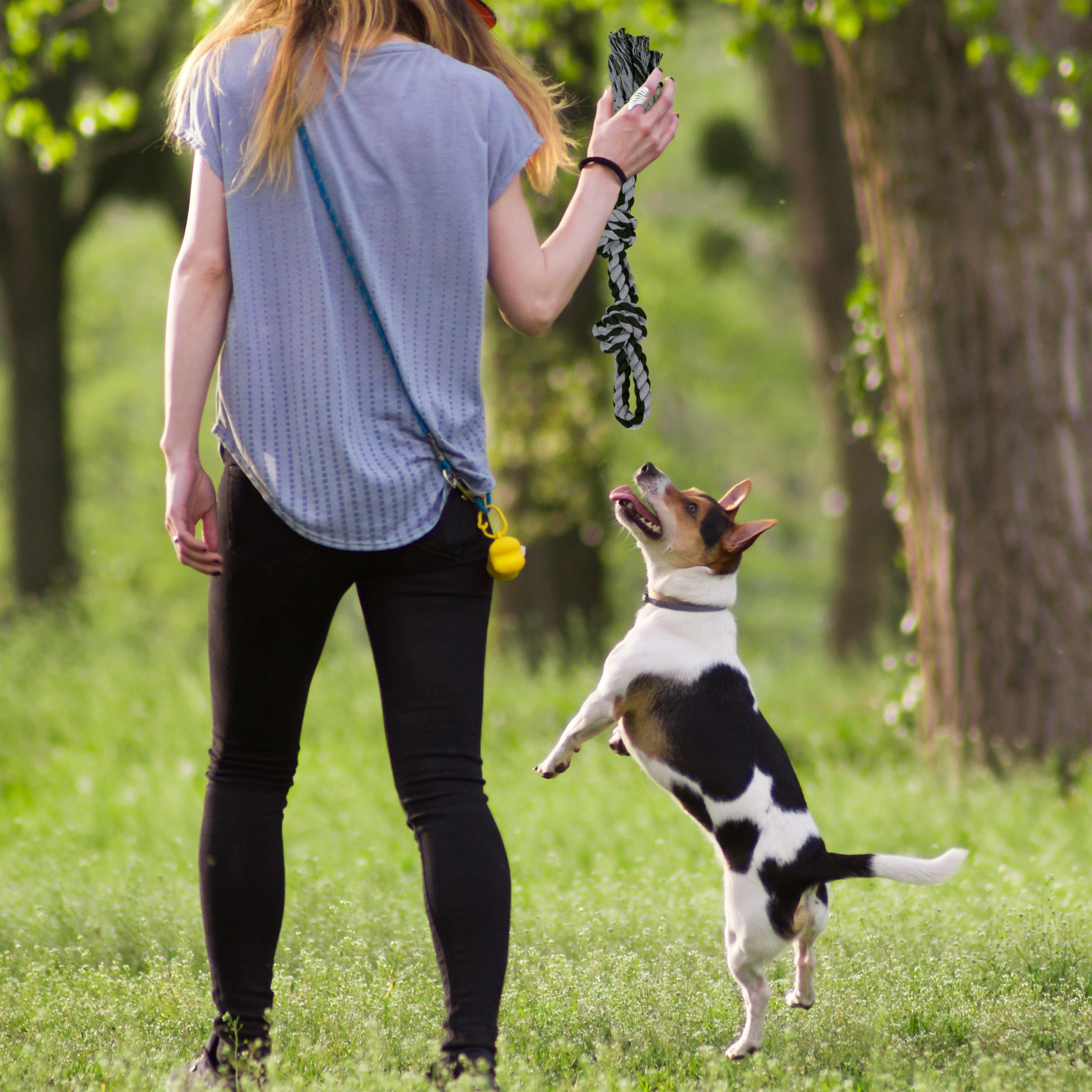B2X Seil für Hundespielzeug - 2 Stk