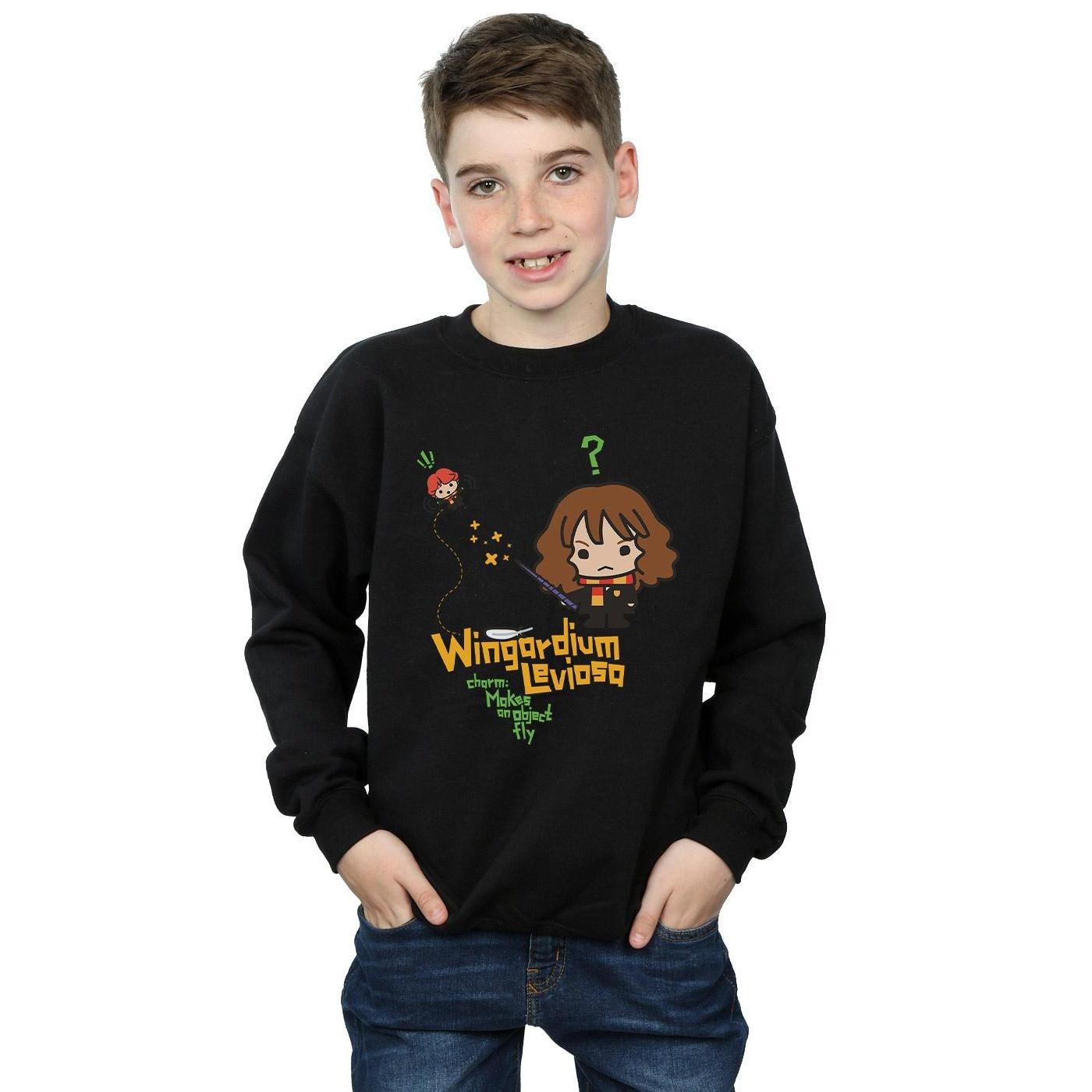 Harry Potter Wingardium Leviosa Sweatshirt