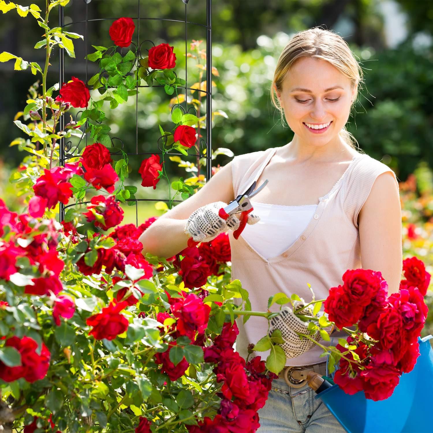 Northio Kletterhilfe aus Metall im Retro-Stil