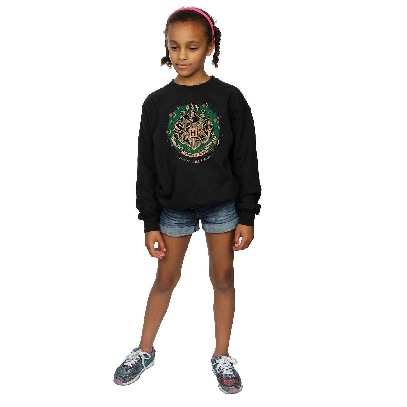 Harry Potter Sweatshirt