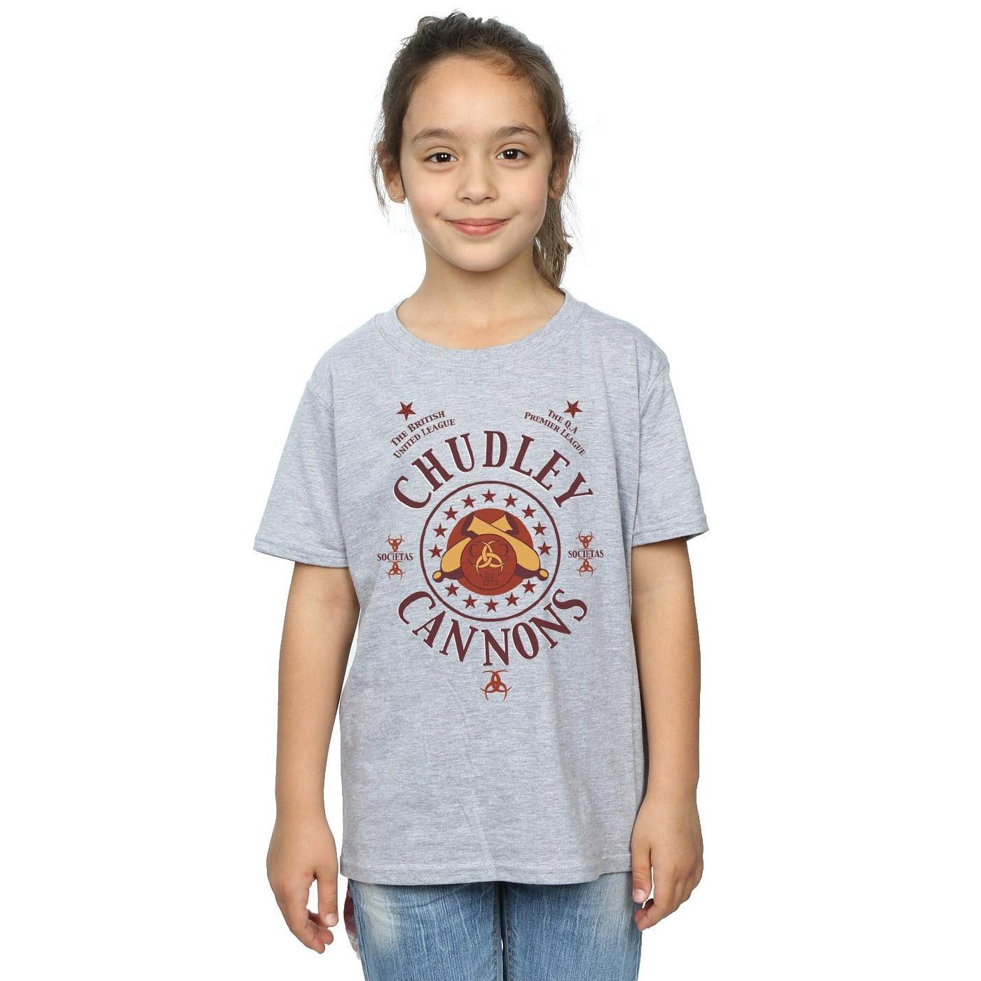 Harry Potter Chudley Cannons TShirt