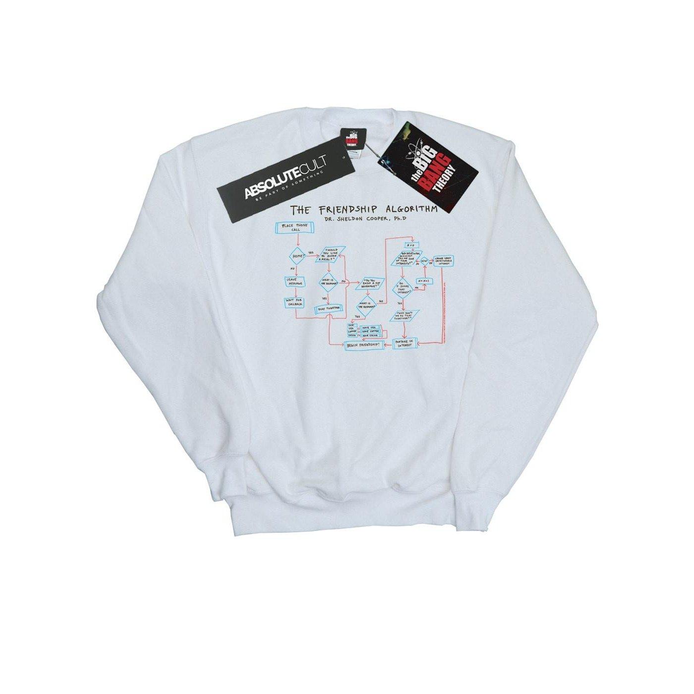 The Big Bang Theory Friendship Algorithm Sweatshirt