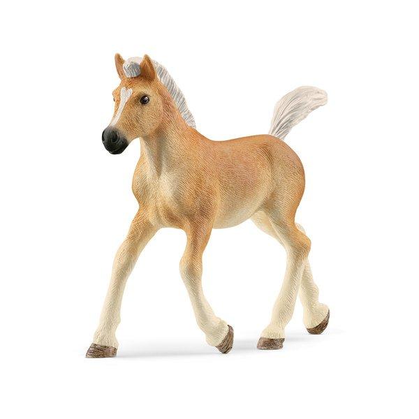 Schleich 13951 Haflinger Fohlen