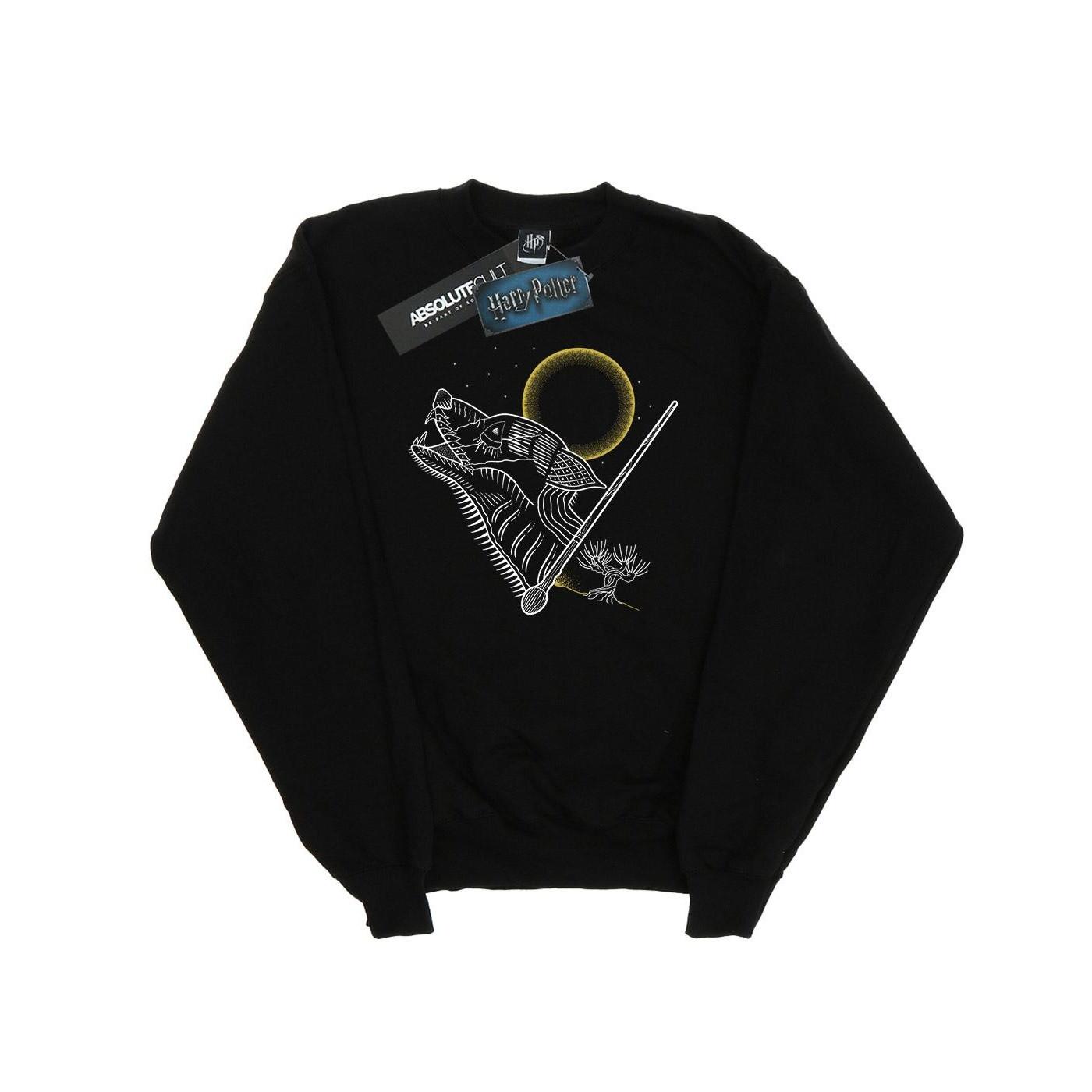 Harry Potter Sweatshirt