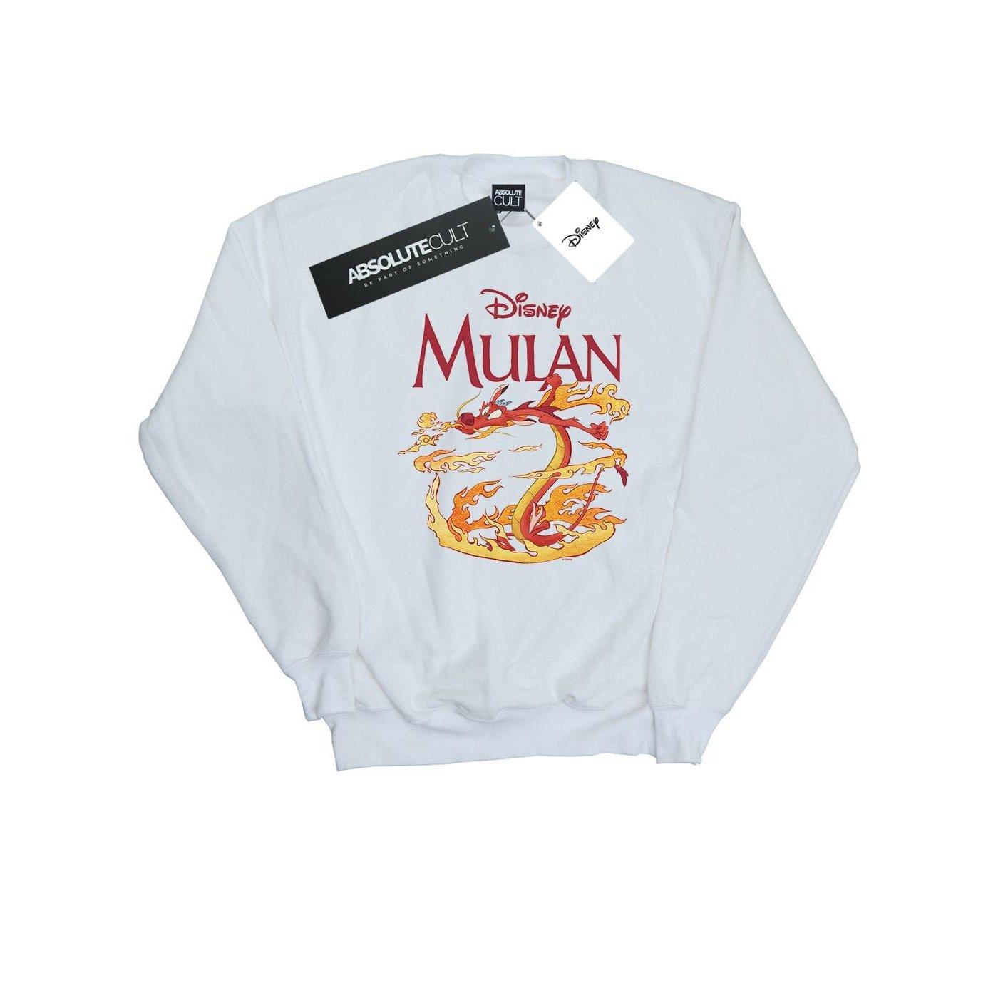 Disney Dragon Fire Sweatshirt