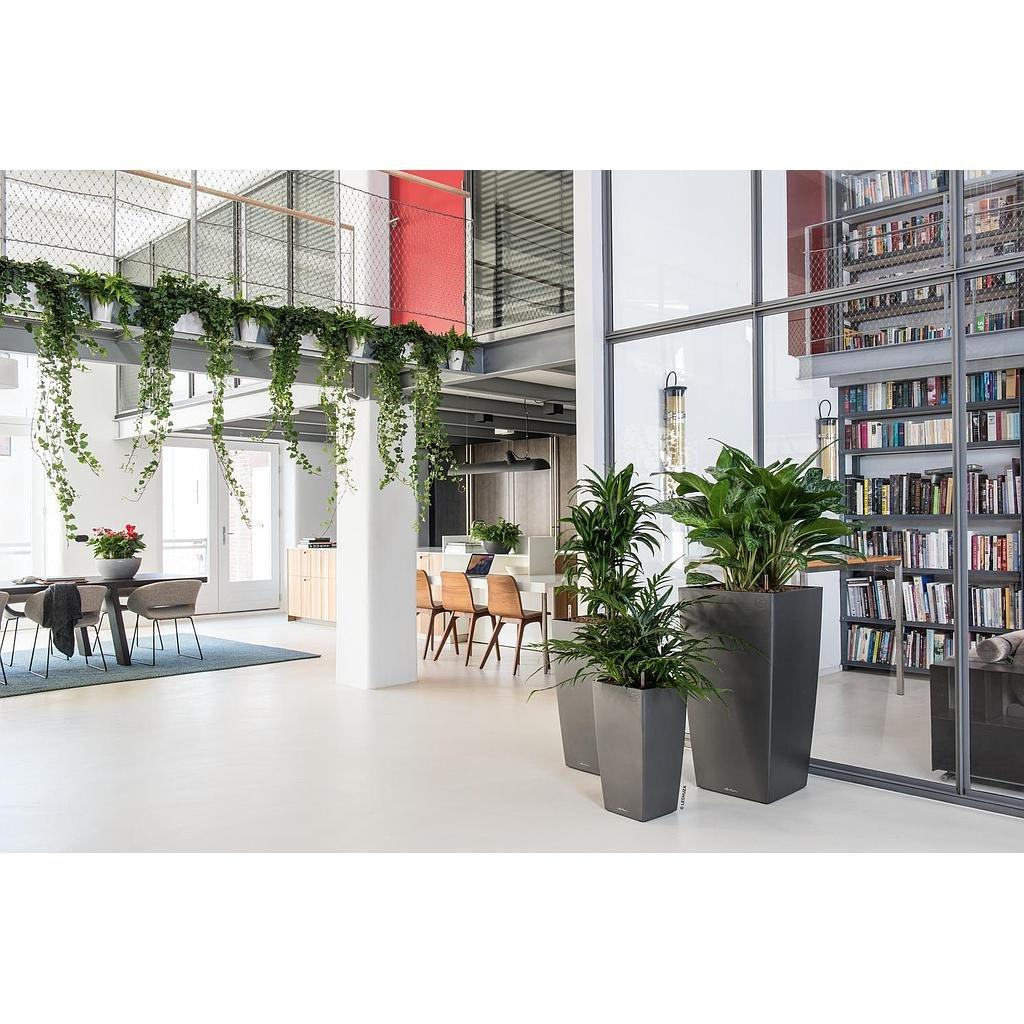 Lechuza Premium Collection CUBICO all-in-one