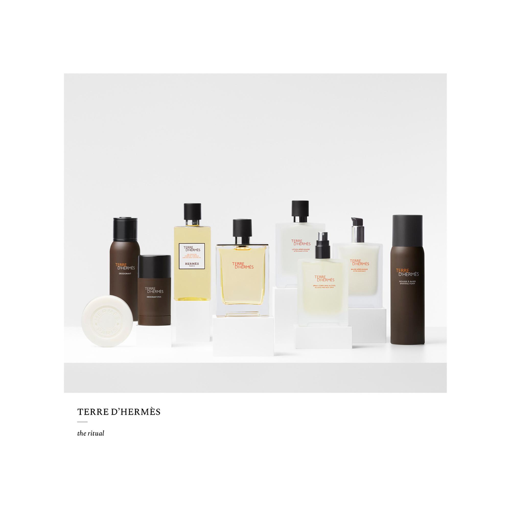 HERMÈS Terre d'Hermès, Eau de Toilette