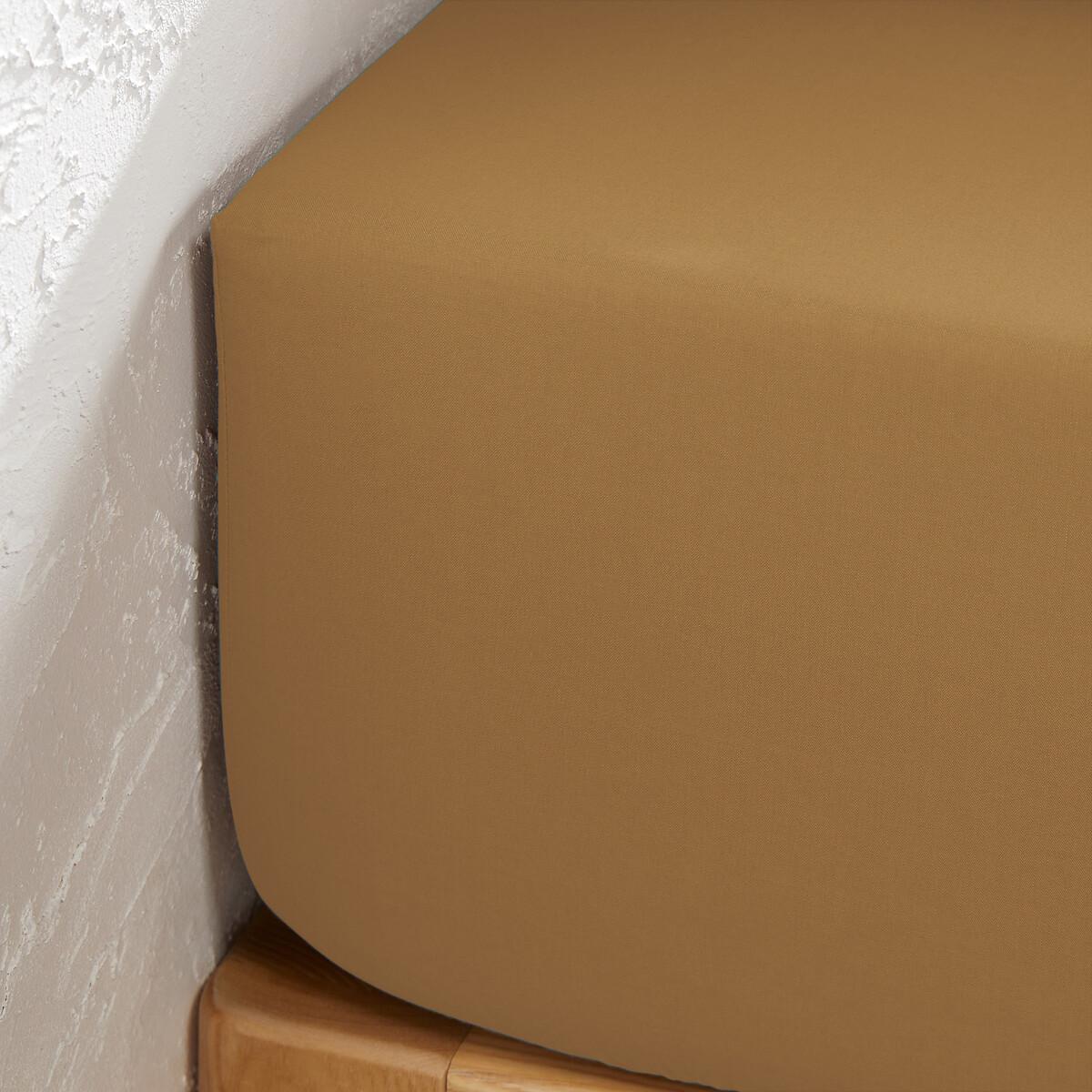 La Redoute Intérieurs Einfarbiges Fixleintuch Scenario aus Baumwolle