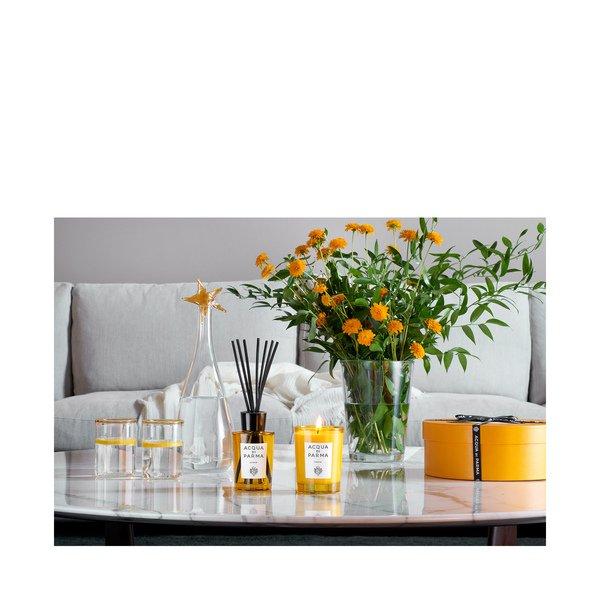 ACQUA DI PARMA Insieme Diffuser DIFFUSERS