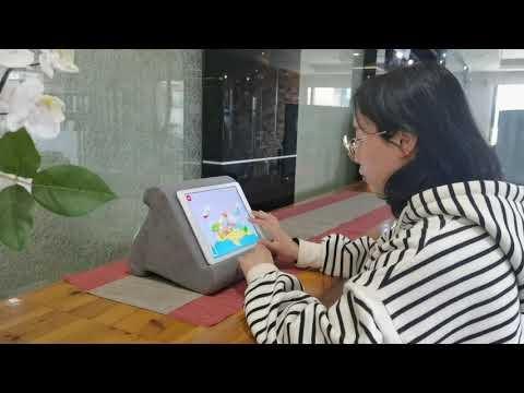 Orange Donkey Orange Esel - Tablet-Kissen - Schwarz