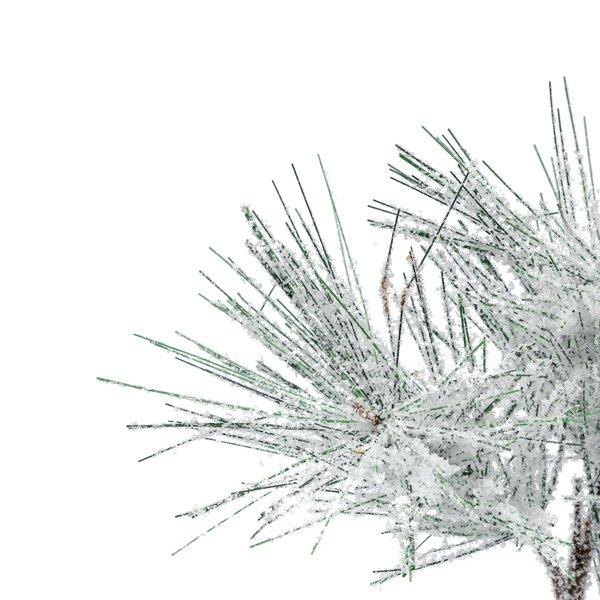 Manor Weihnachtsdekoration