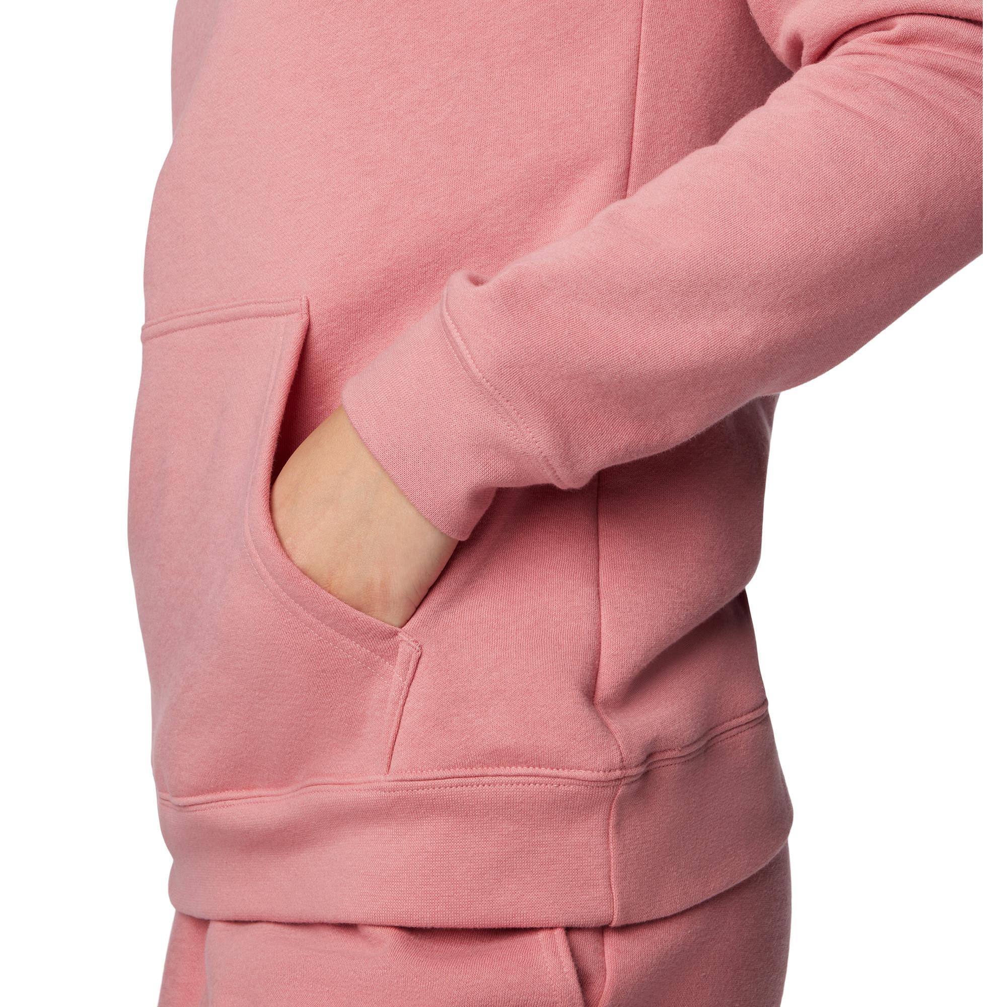 Columbia Columbia Trek™ Graphic Treatment Hoodie Pullover, Regular Fit, langarm