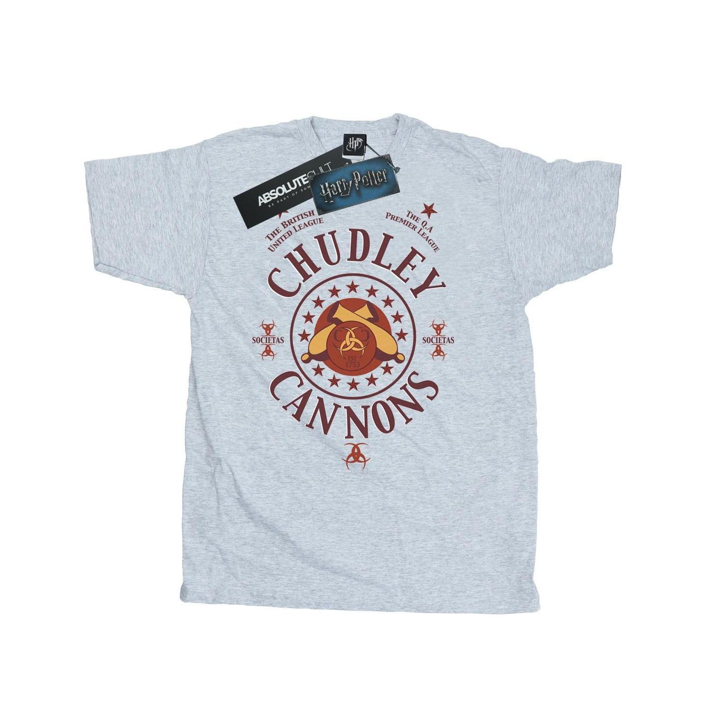 Harry Potter Chudley Cannons T-Shirt