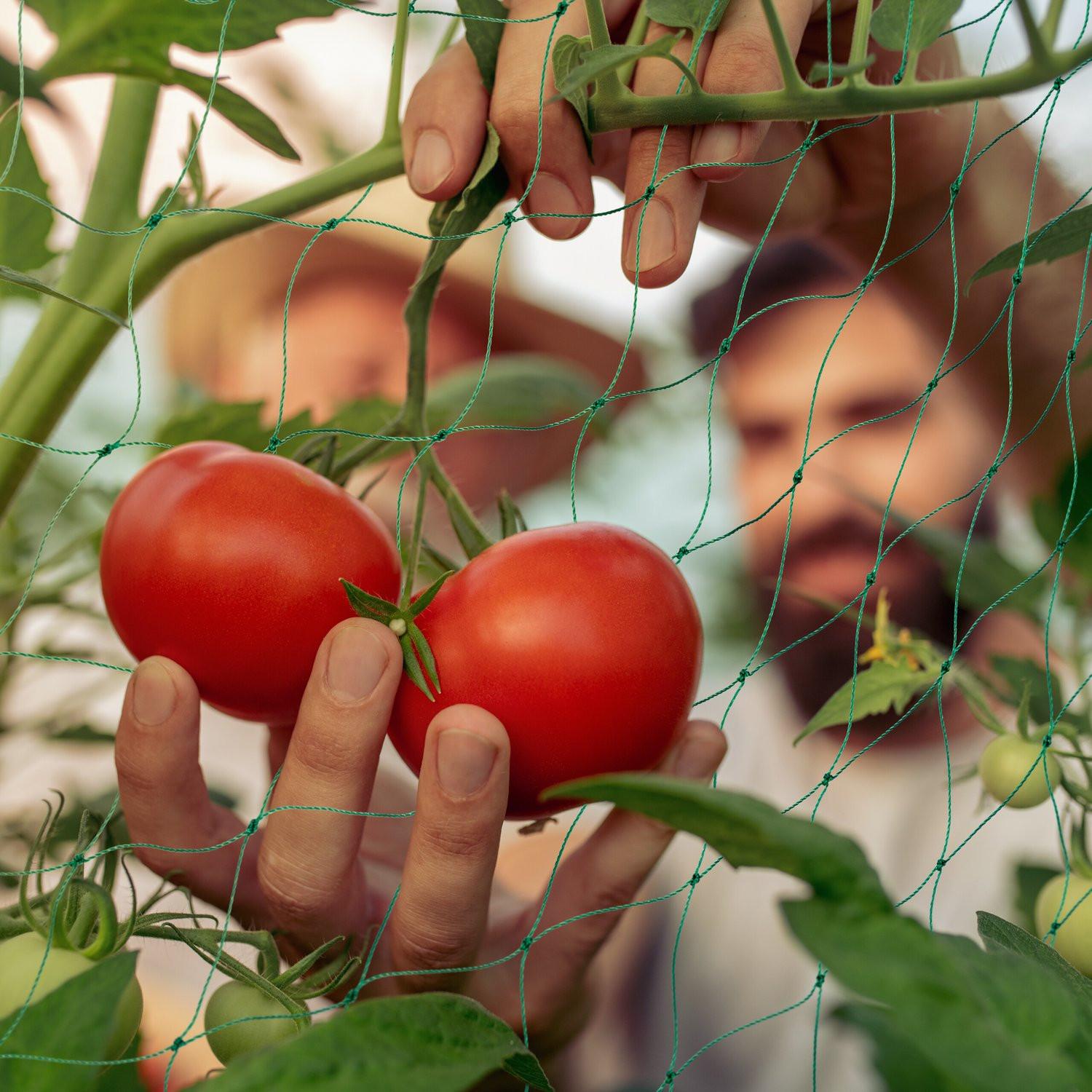 B2X Spaliernetz 180 x 500 cm 3er-Set