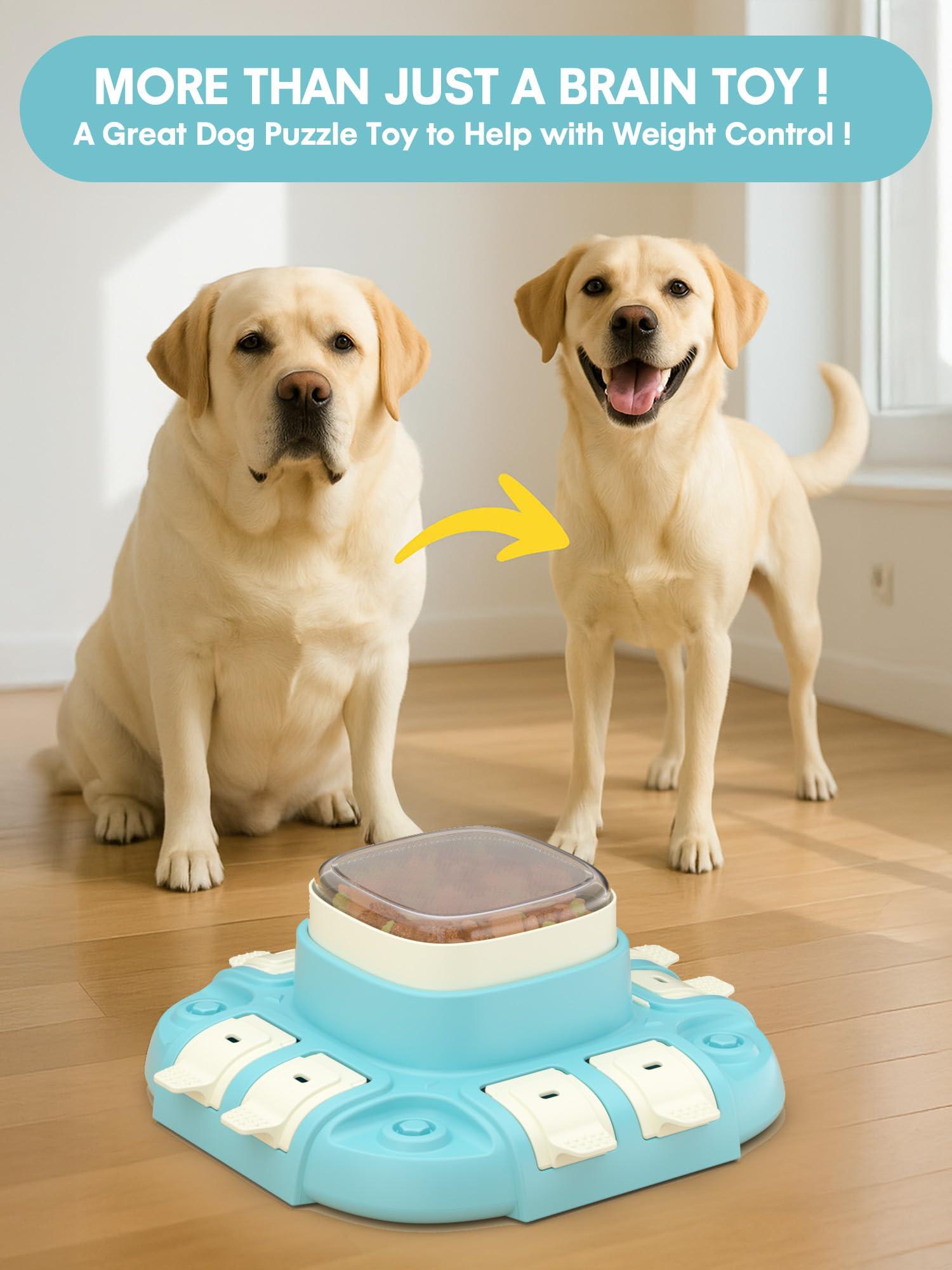 Activity-board Hundespielzeug Intelligenz