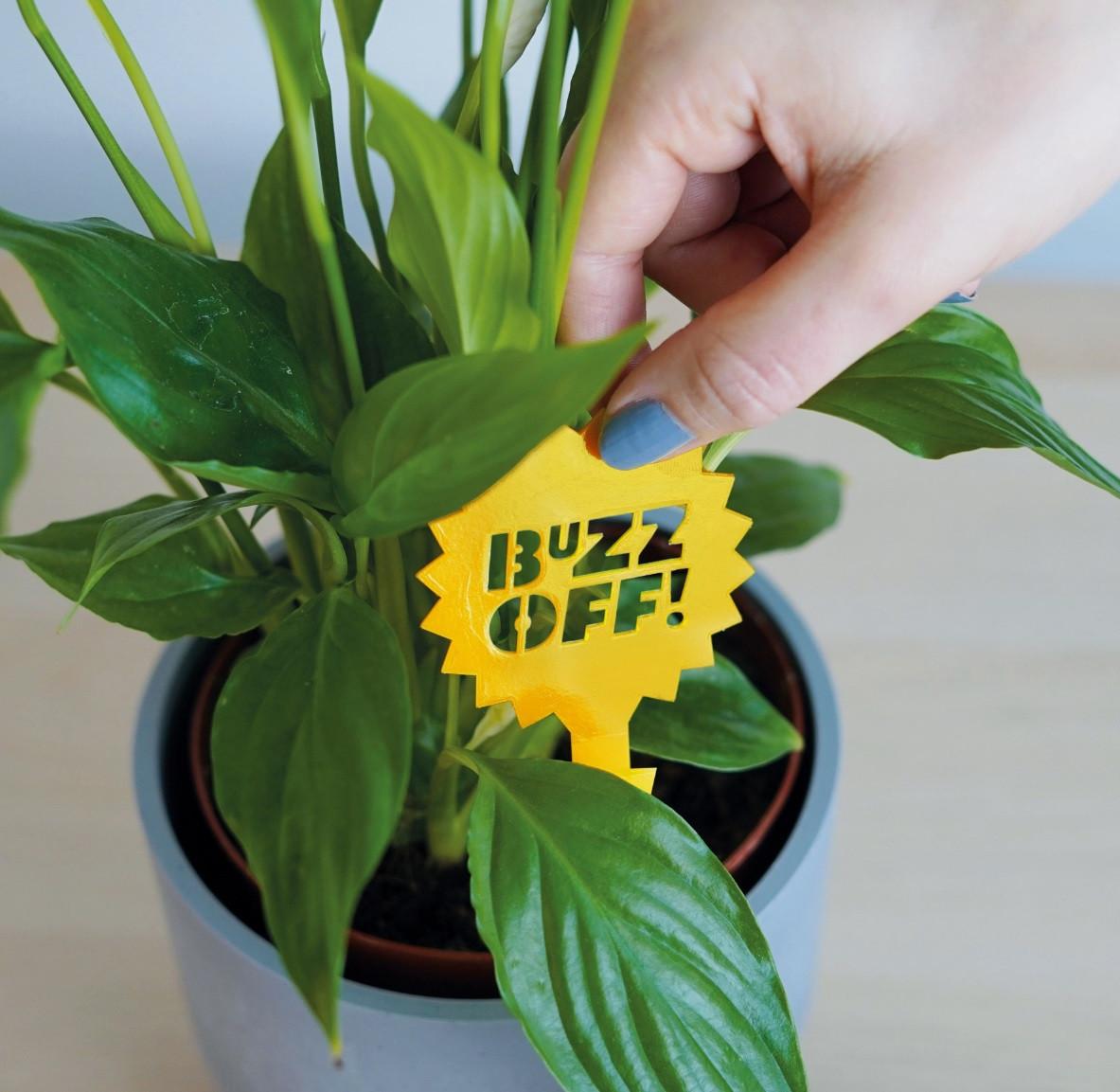 Bubblegum Pflanzen Insektenfalle Klebefallen 10 Stück