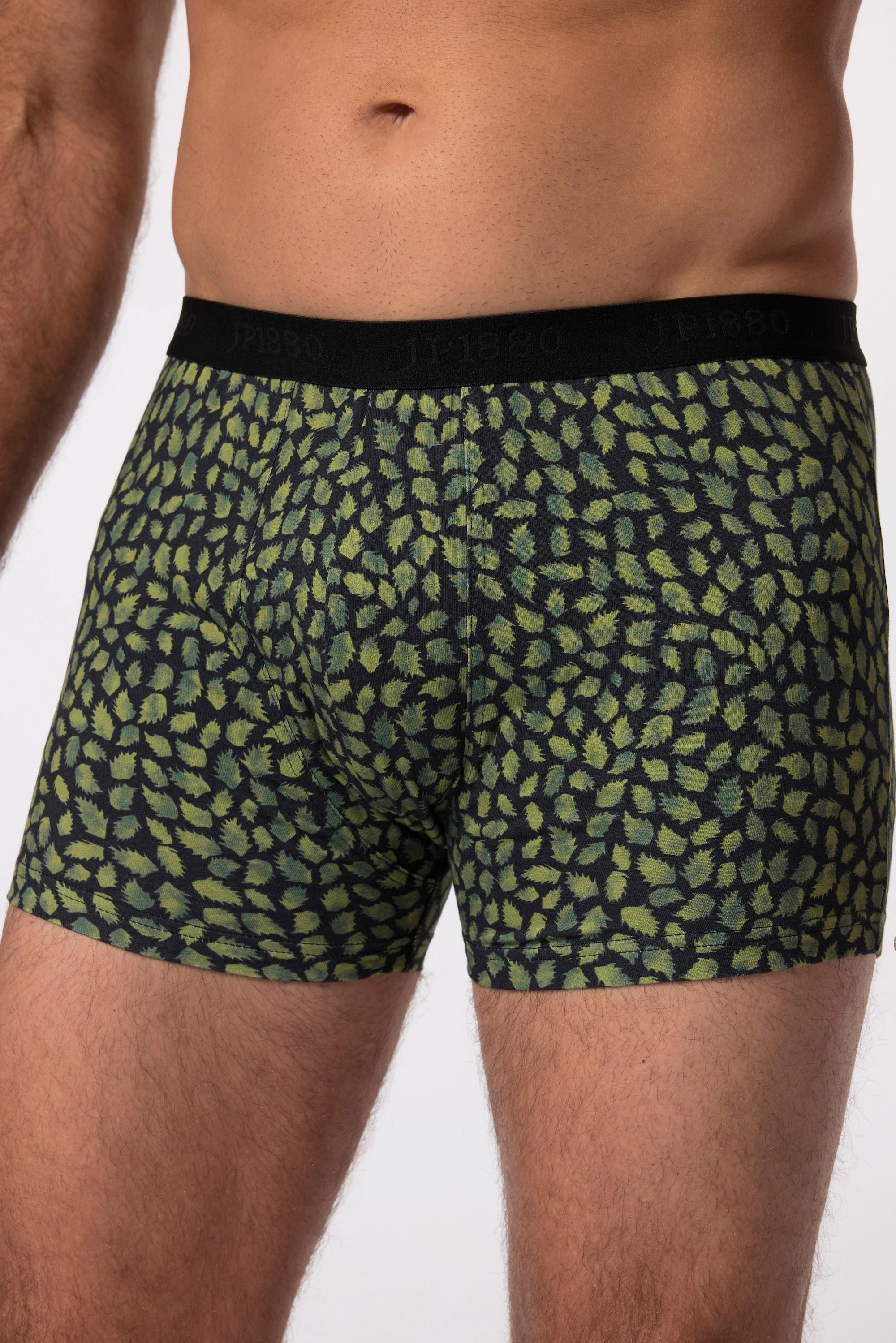 JP1880 Hip-Pants FLEXNAMIC®, OEKO-TEX, 2er-Pack, Unterhose